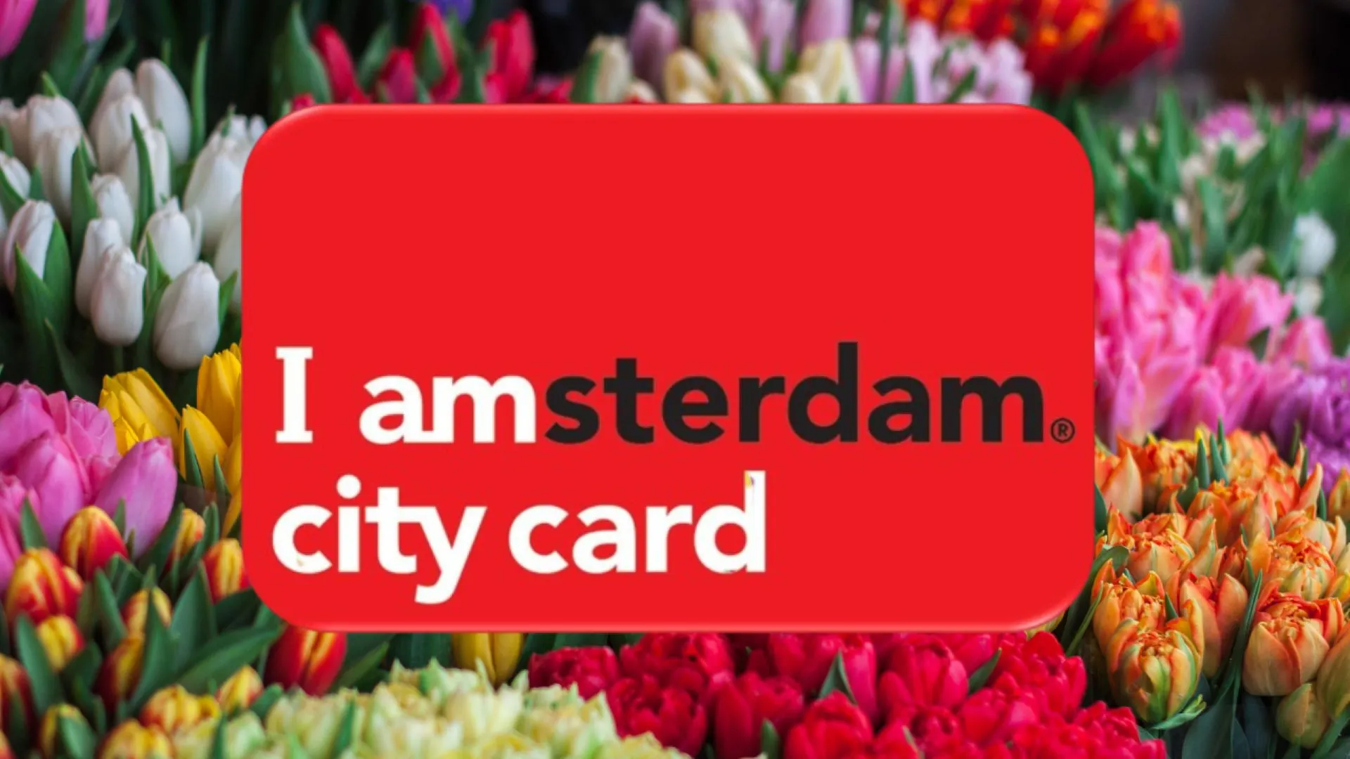 I amsterdam City Card promotional image