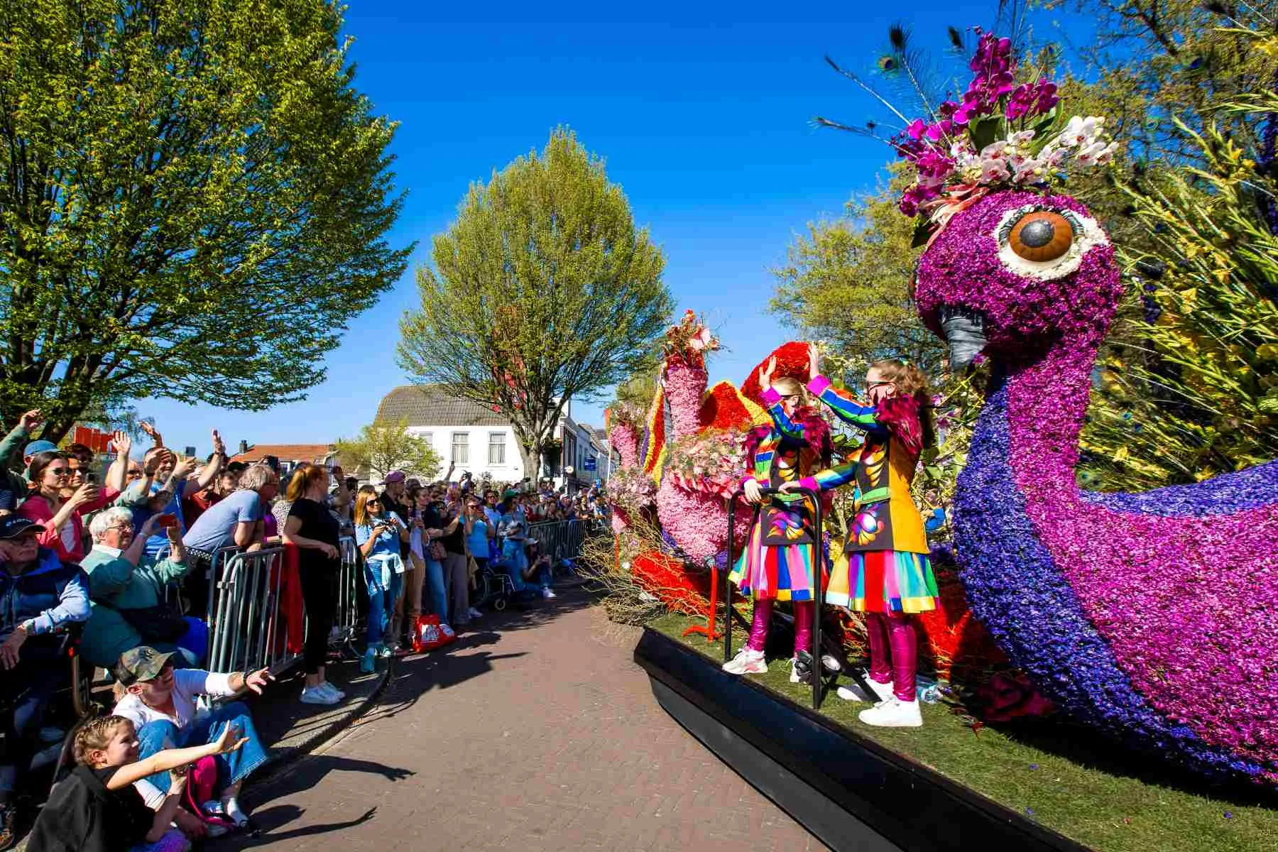 Floats decorated with flowers during the Bollenstreek parade