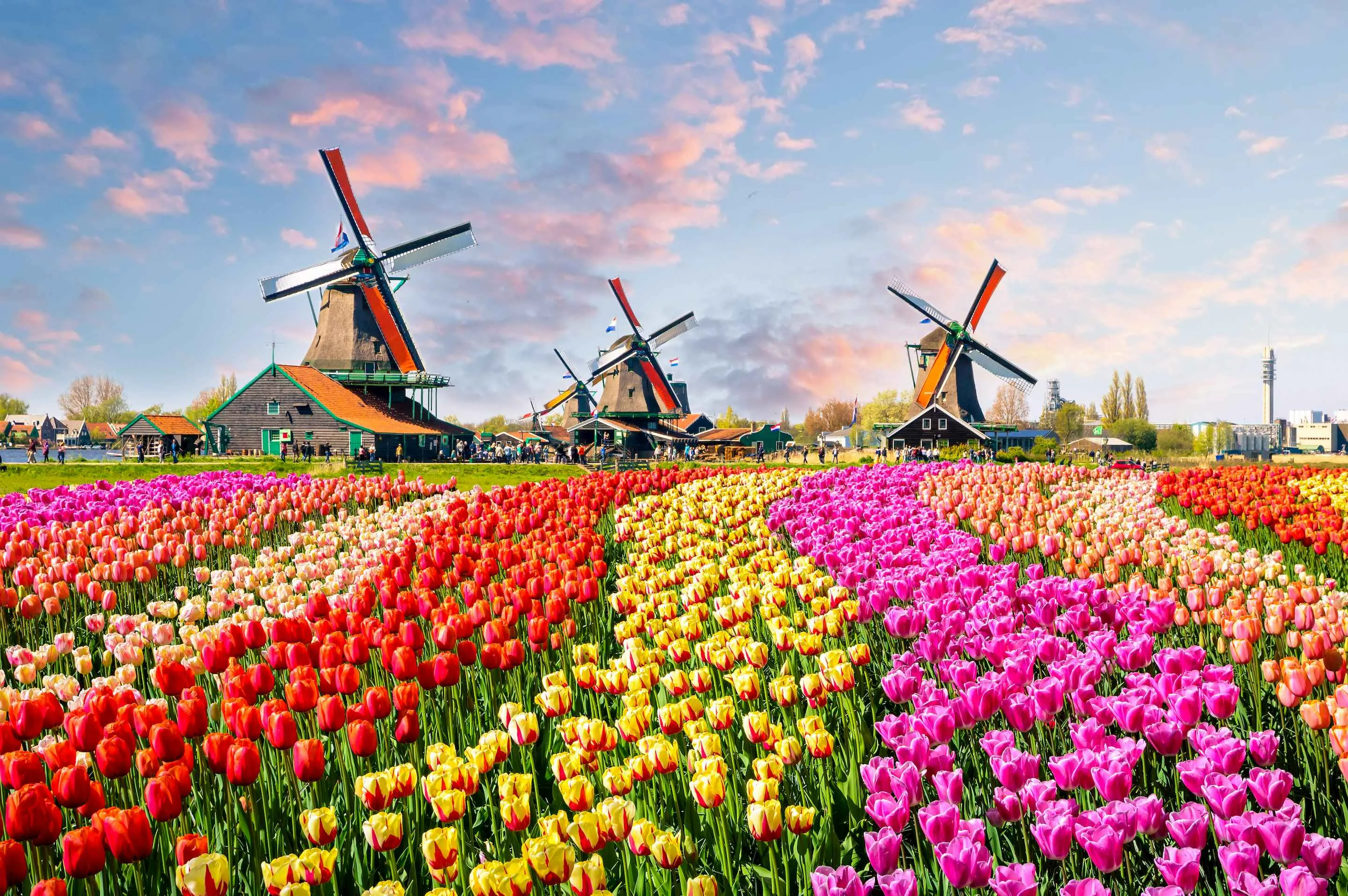 Visitors walking among vibrant tulip beds in Keukenhof Gardens