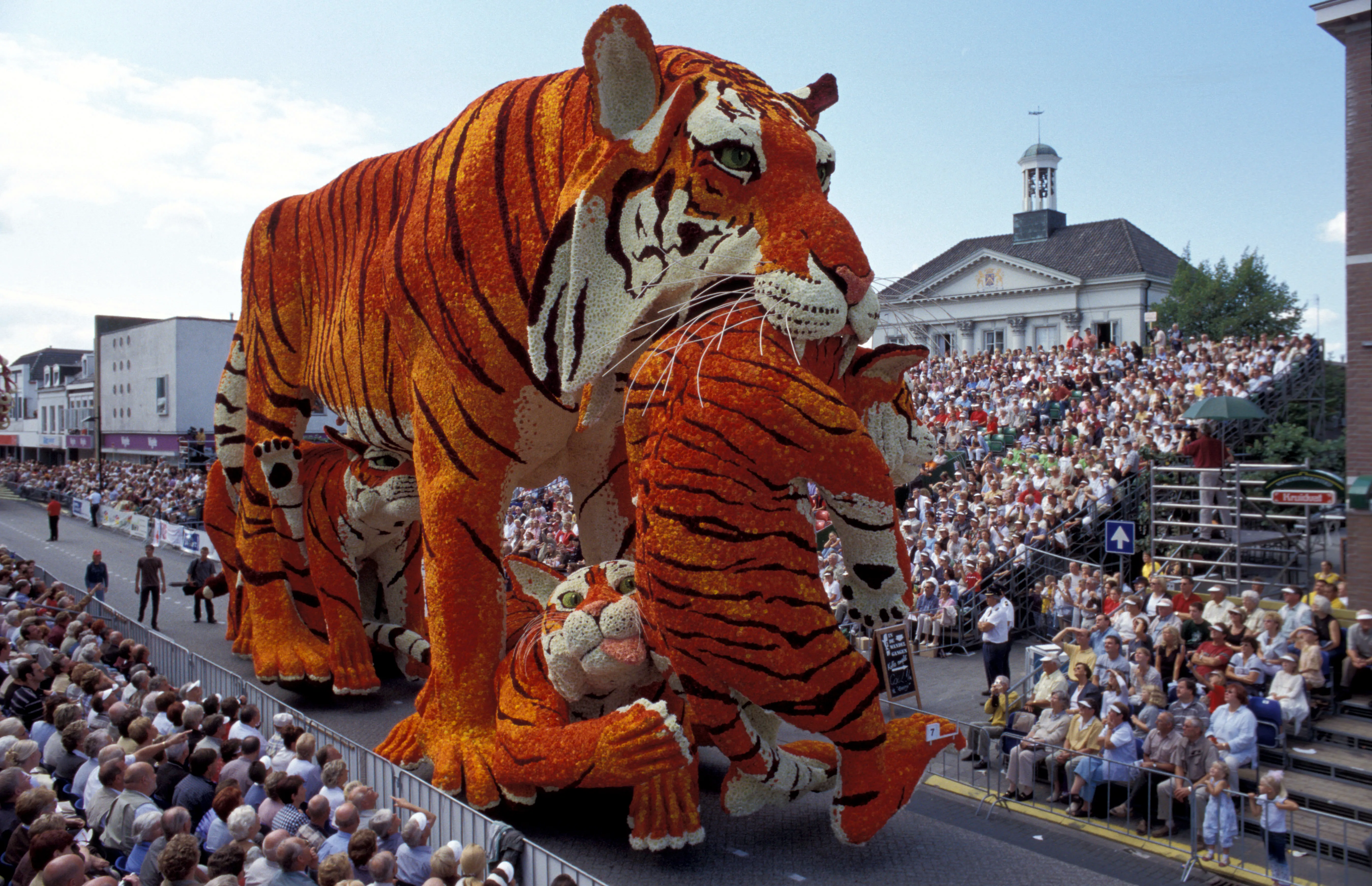 Parade wagon with tulip chariot