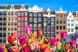 Tulips with colorful Amsterdam canal houses