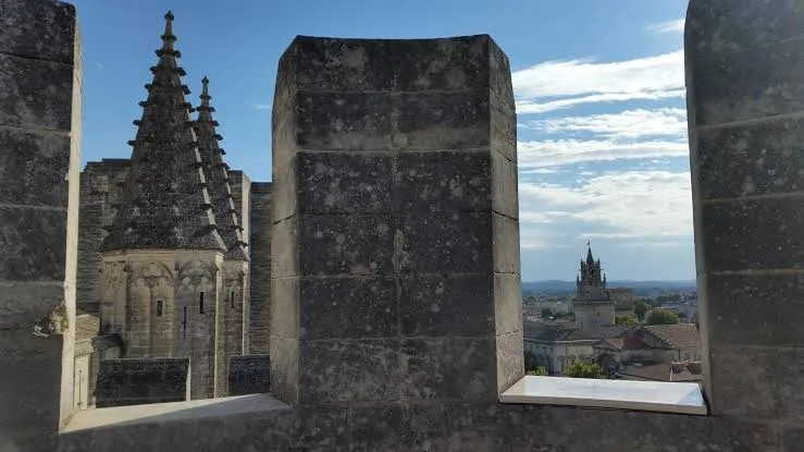 Towers, Terraces, and the Avignon Panorama: Seeing Strategy from Above