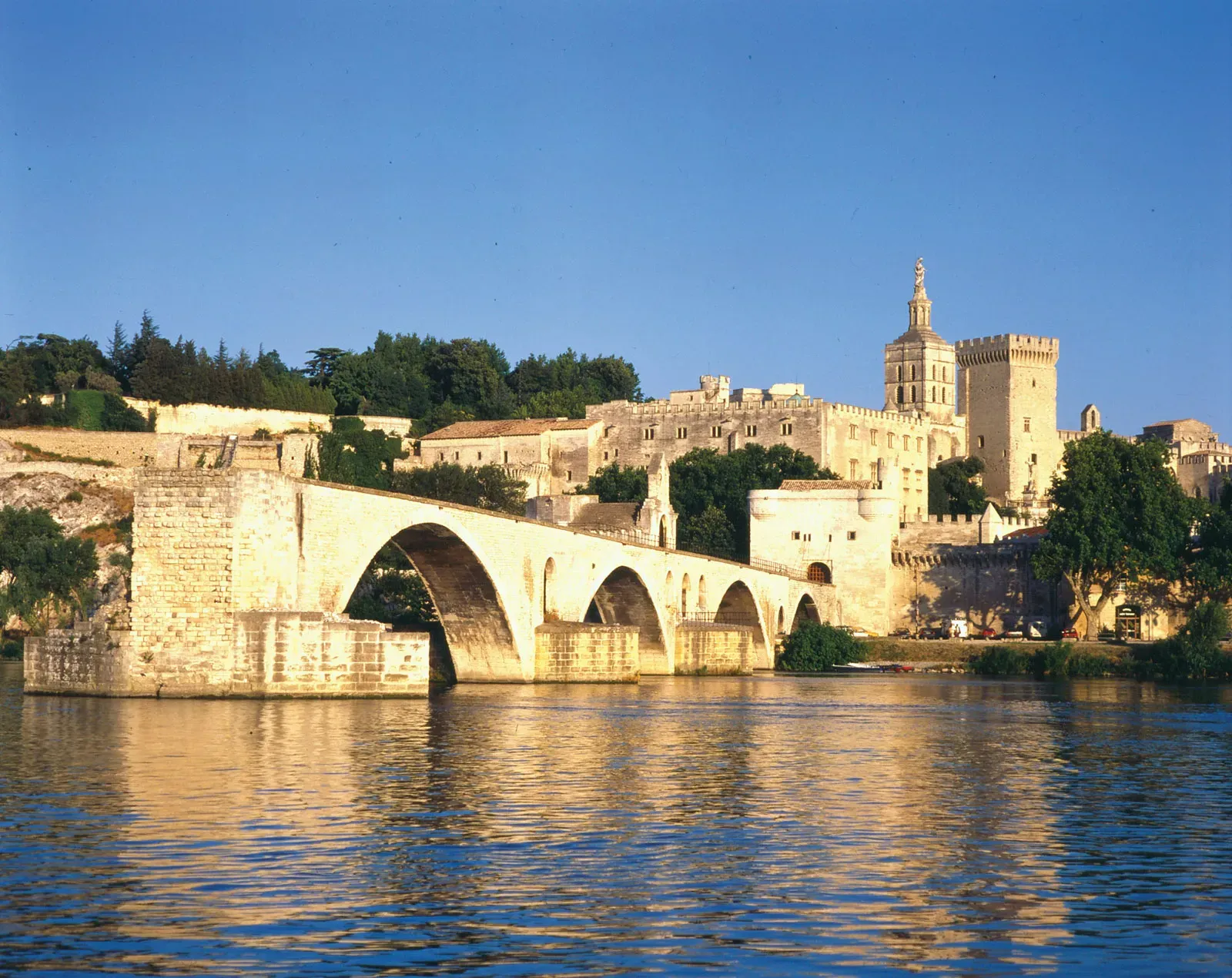 View of the Palais des Papes from the Rhône
