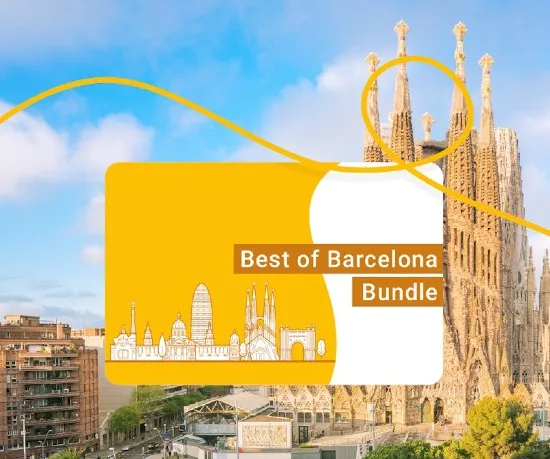 Aerobús Transfer + Sagrada Familia + Park Güell