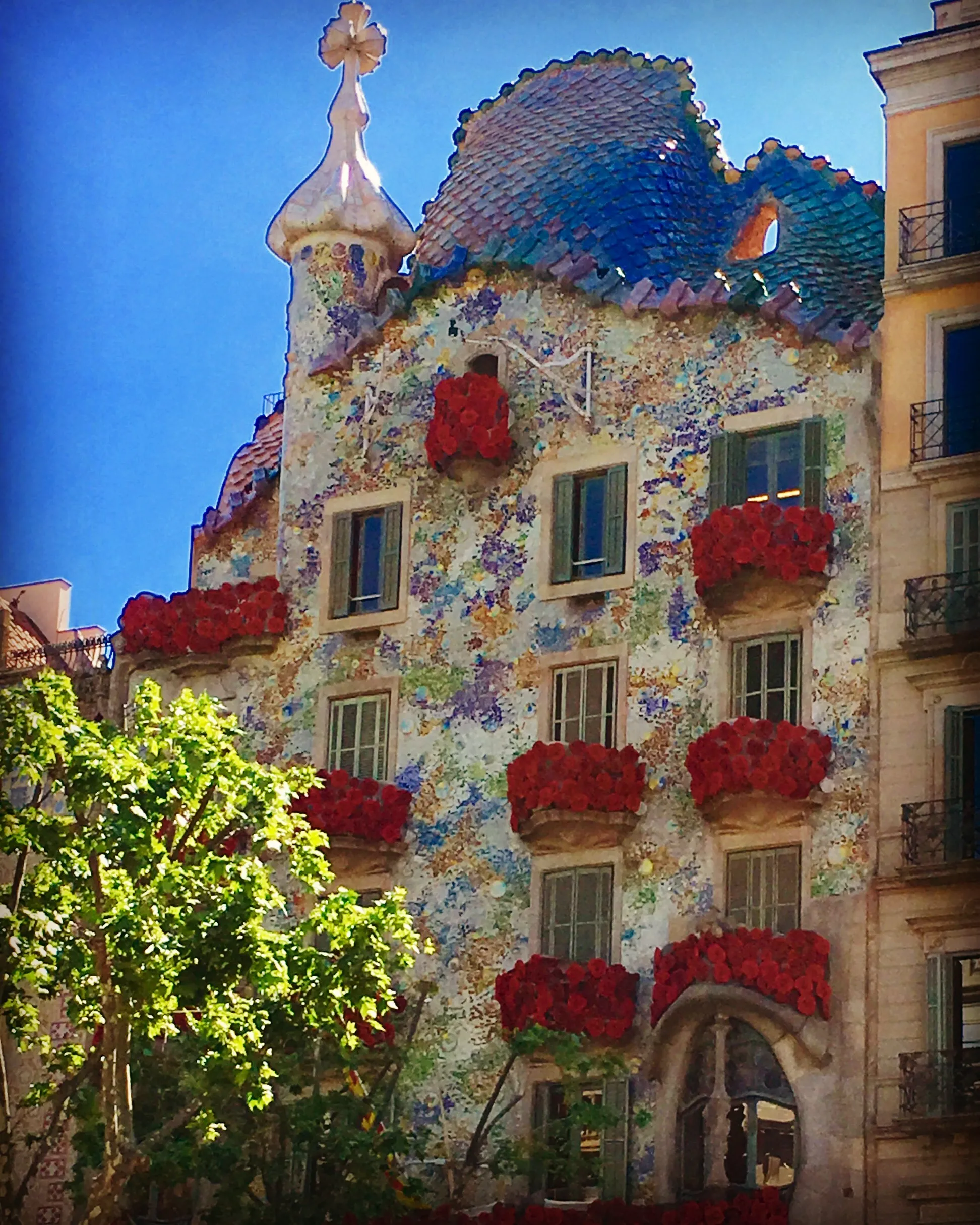 Casa Batllò Flowers on Balcony View