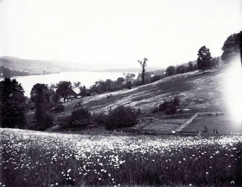 Museum Island Strategy: The Perfect Bus Drop-off
