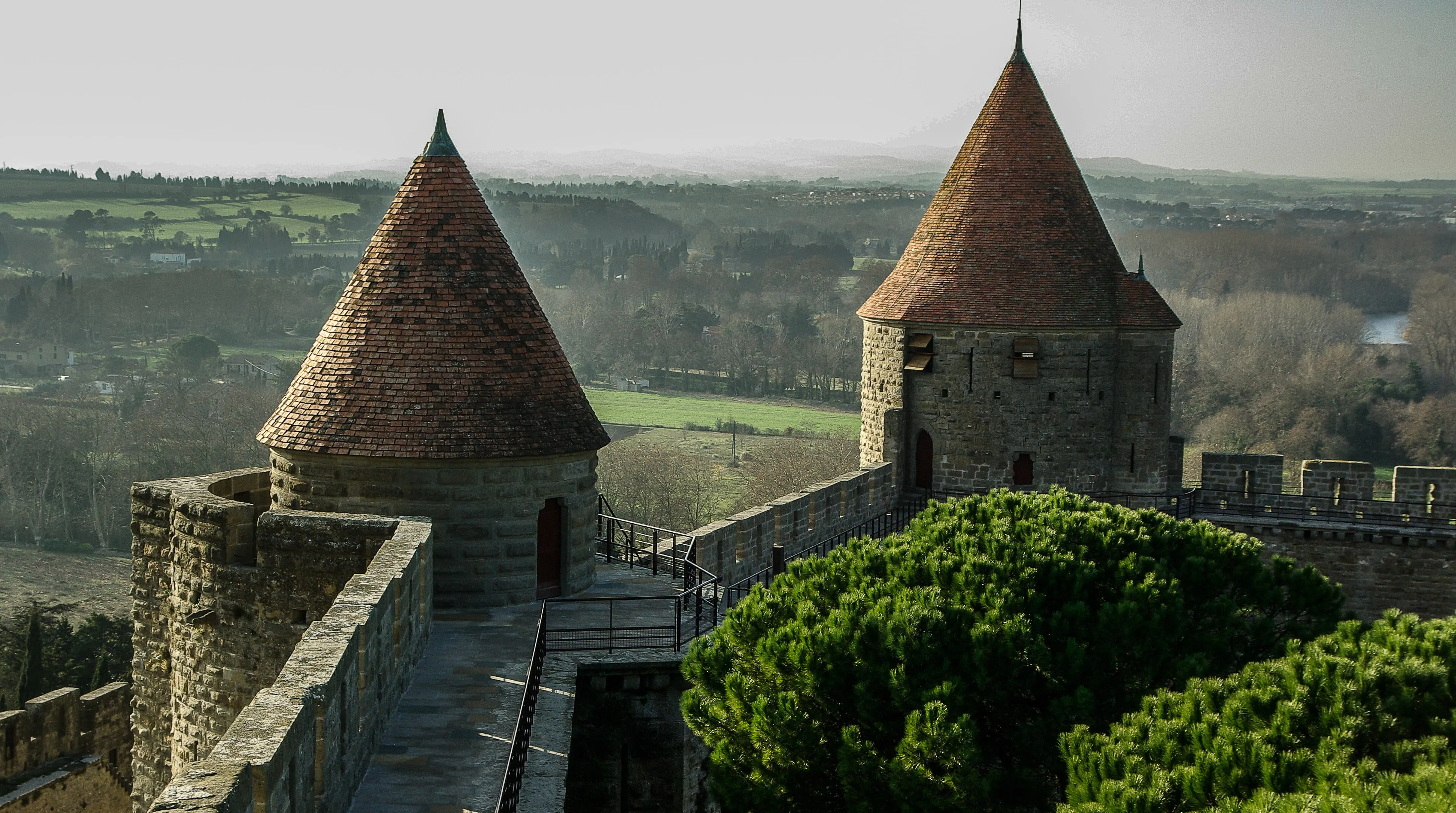 Aerial view of the towers and roofs