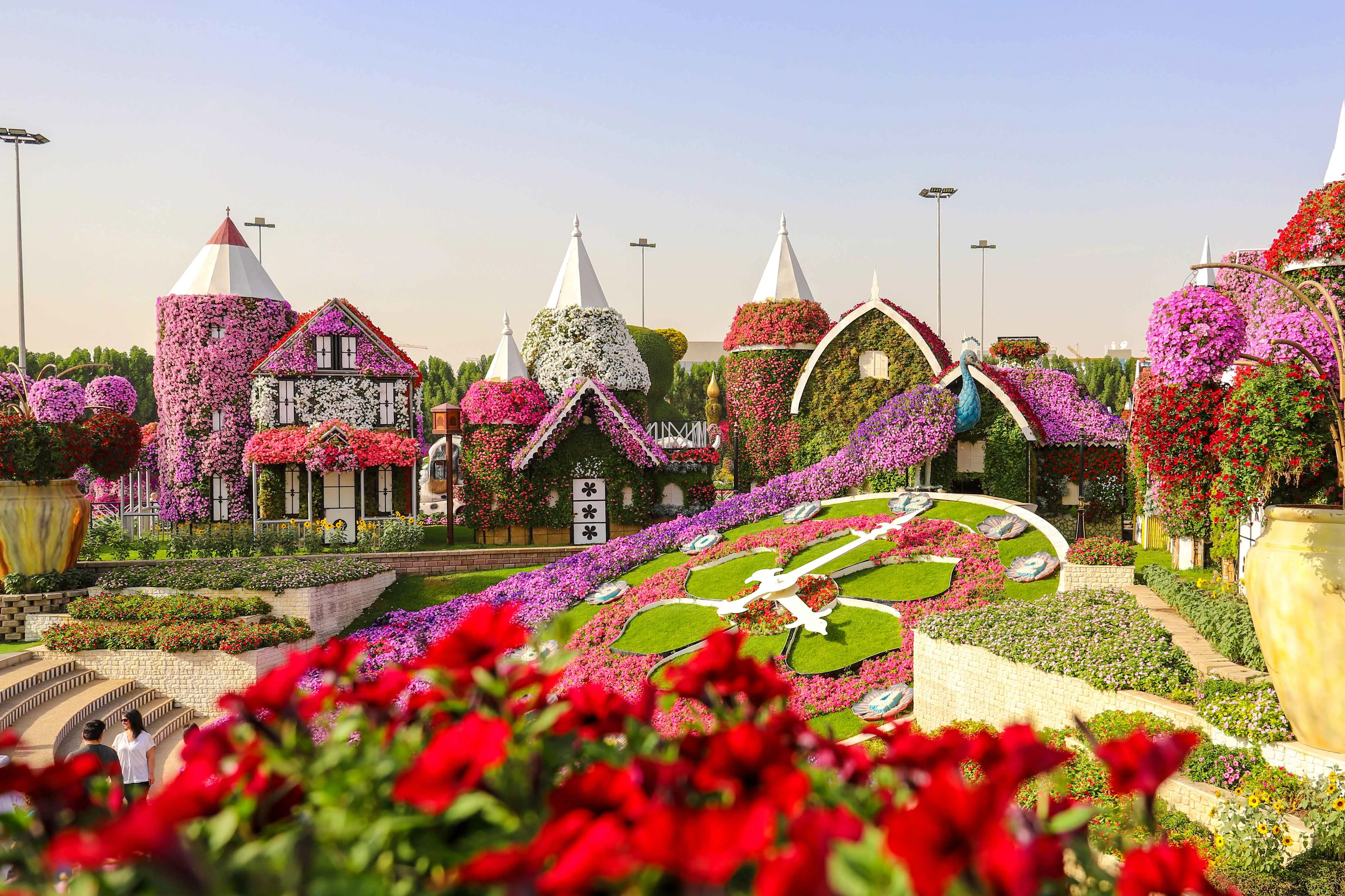 Floral clock at Dubai Miracle Garden
