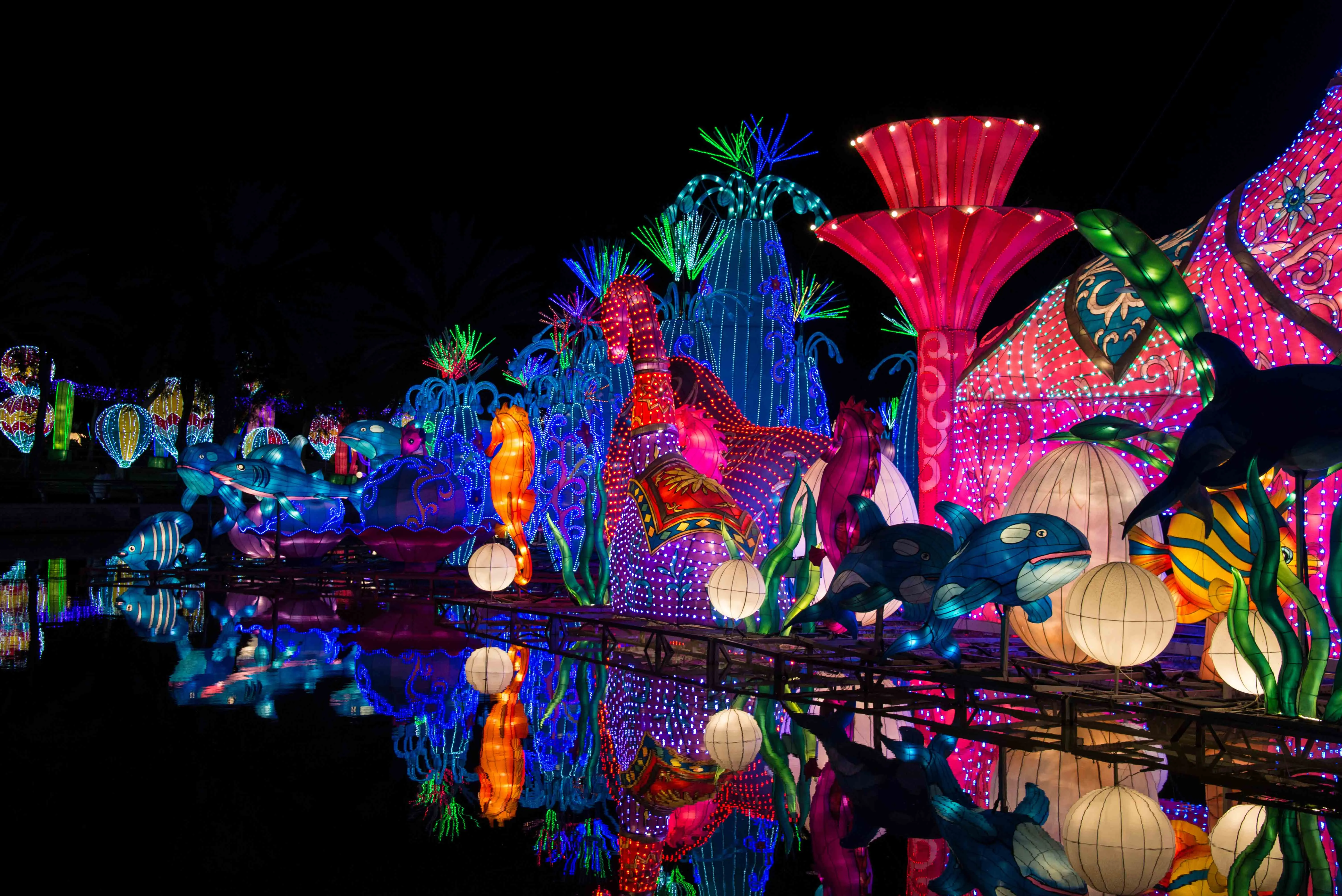 Miracle Garden illuminated at night