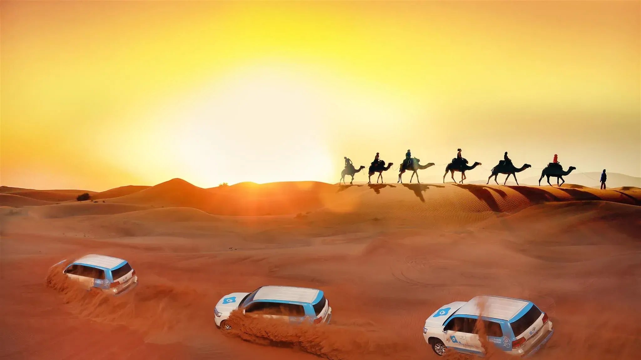 Convoy of 4x4 vehicles driving over golden Dubai desert dunes at sunset
