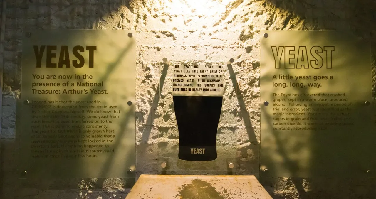 Exhibit Explaining Guinness Yeast