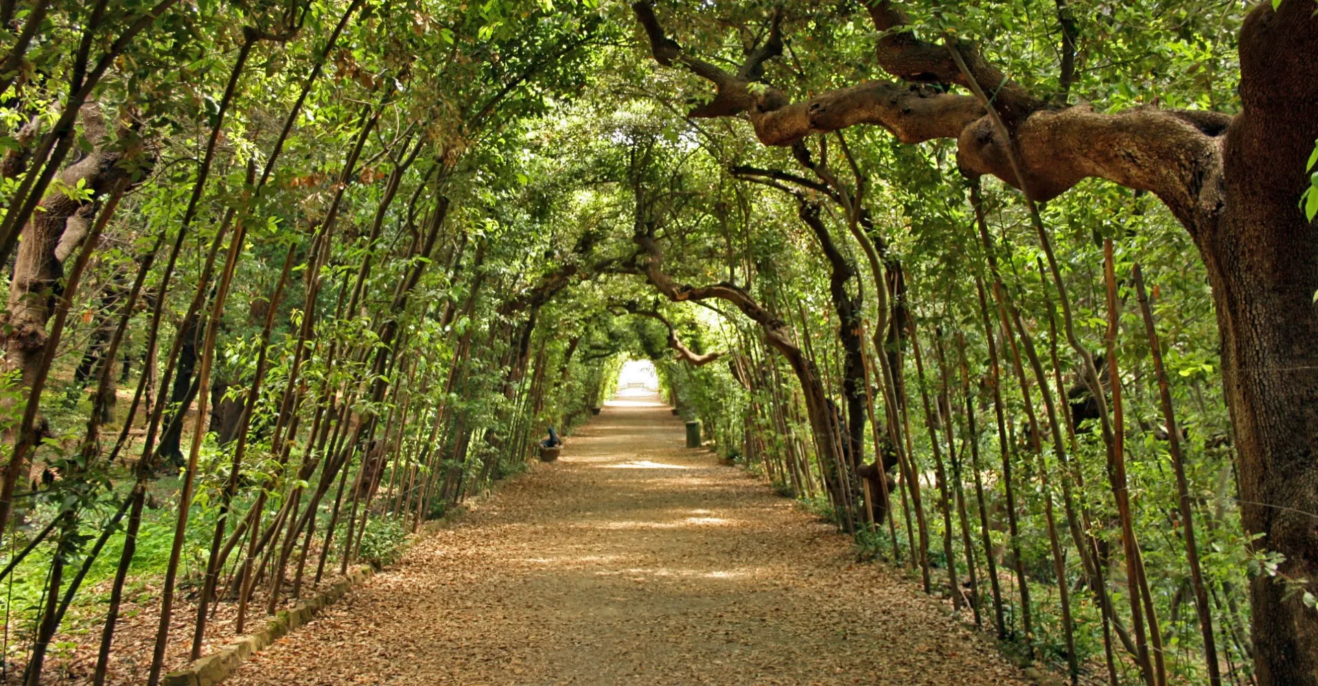 Boboli Gardens Gallery