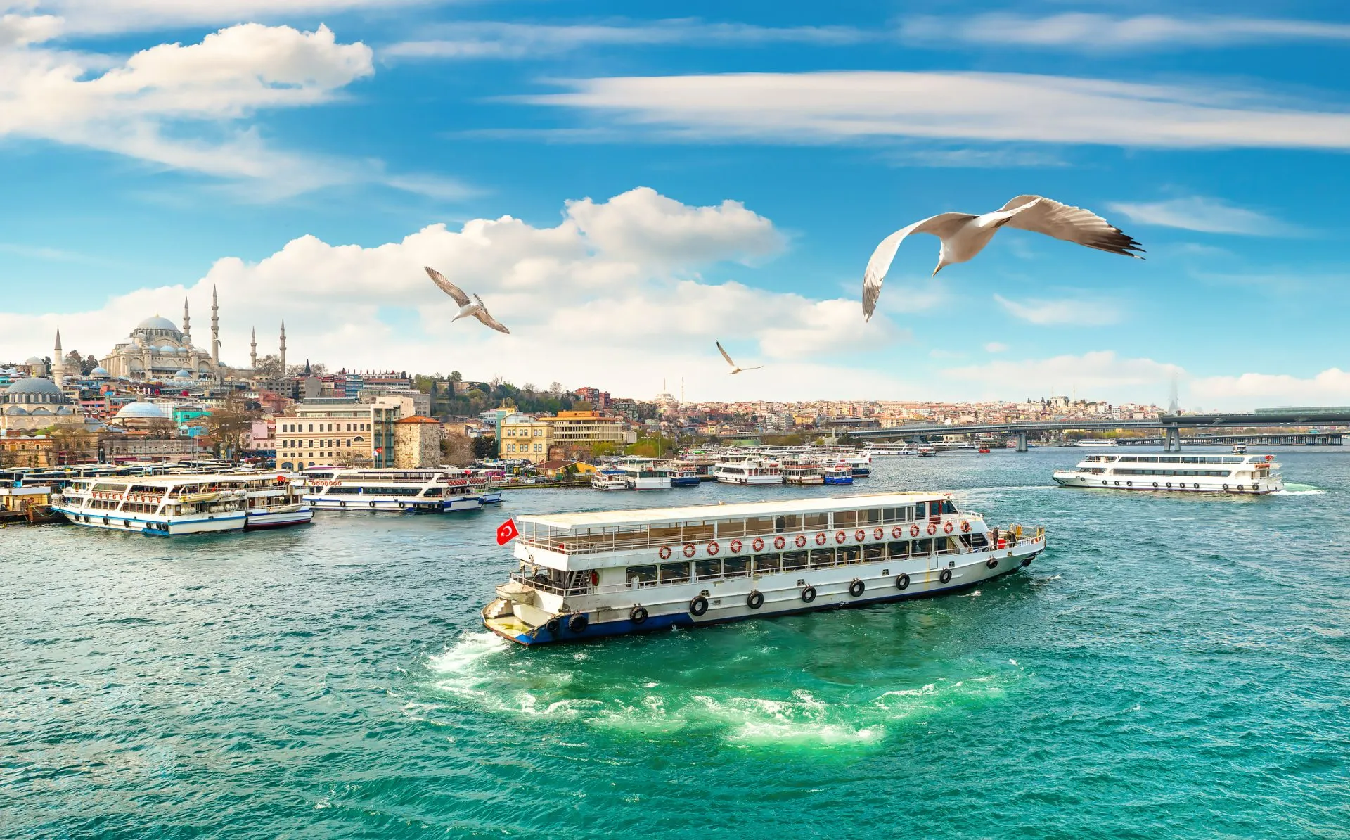 Bosphorus Day Cruise