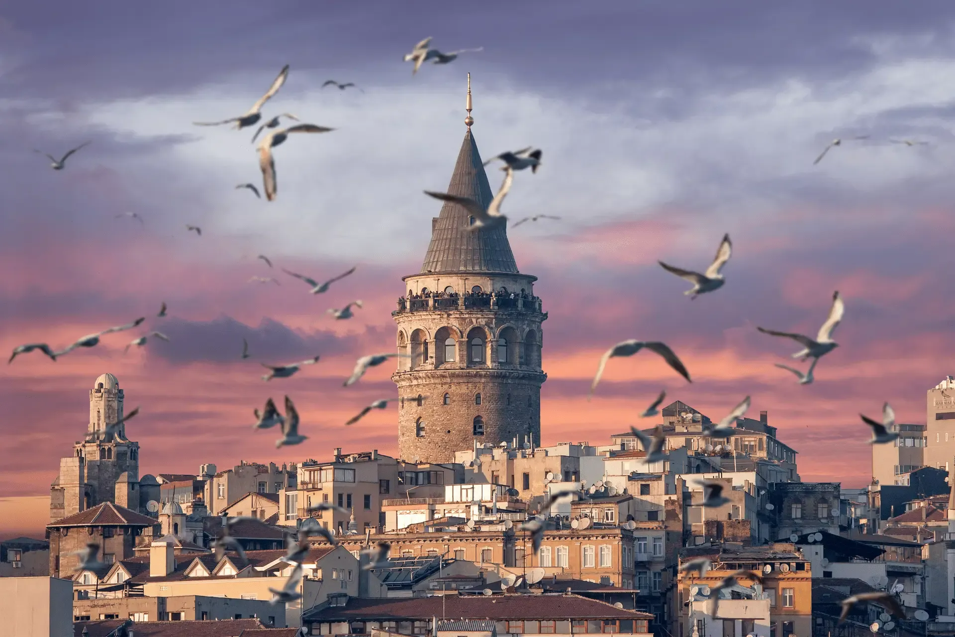 Galata Tower at sunset with seagulls