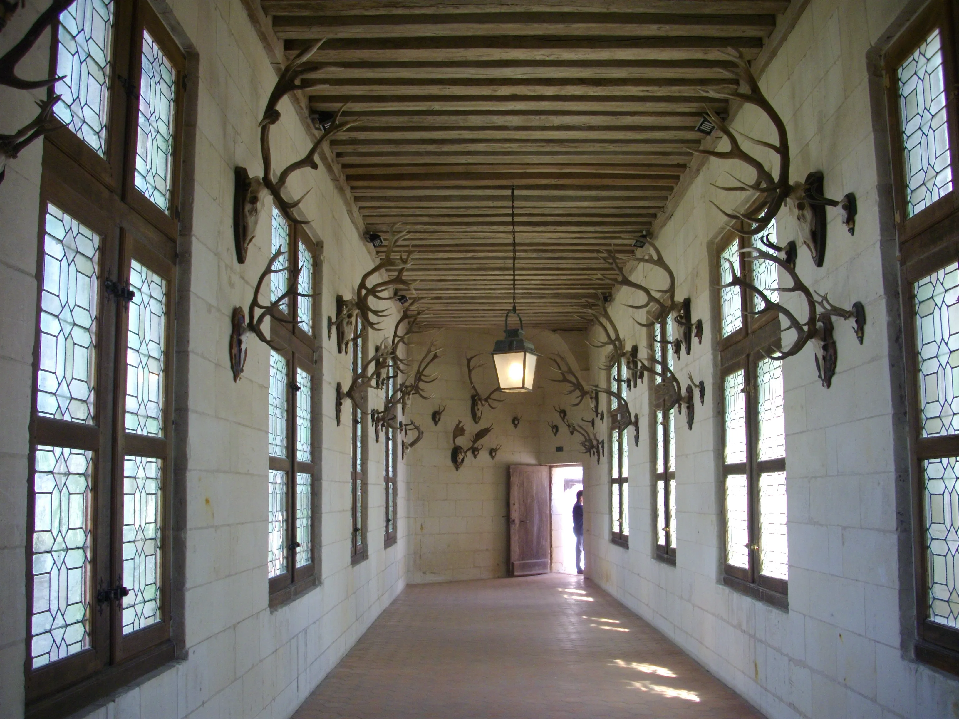 Corridor with stag horn decor in Chateau de Chambord