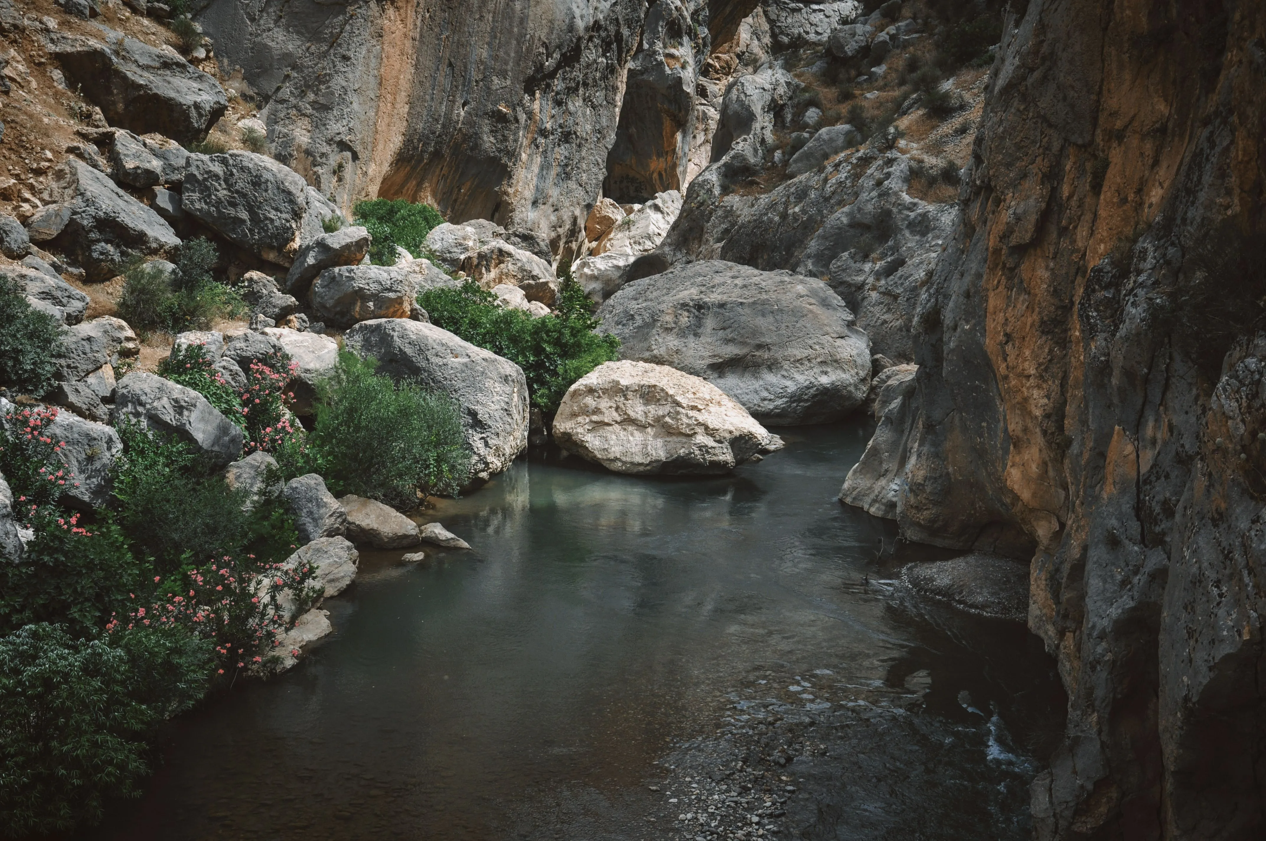 The Gorge Story: Geology and Water at Caminito del Rey