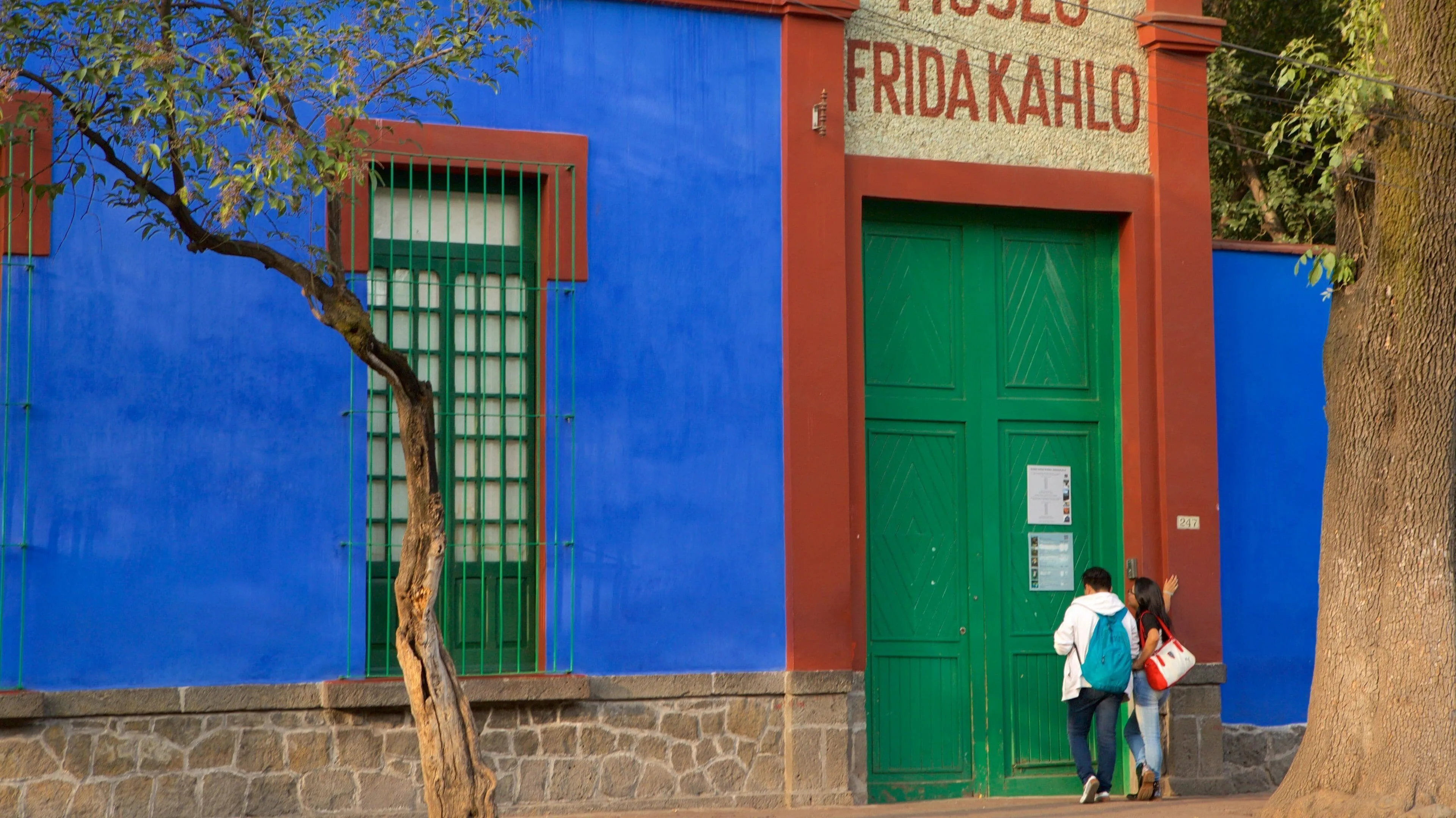 Casa Azul Tickets: Prices, Time Slots, Discounts, and Booking Mistakes to Avoid