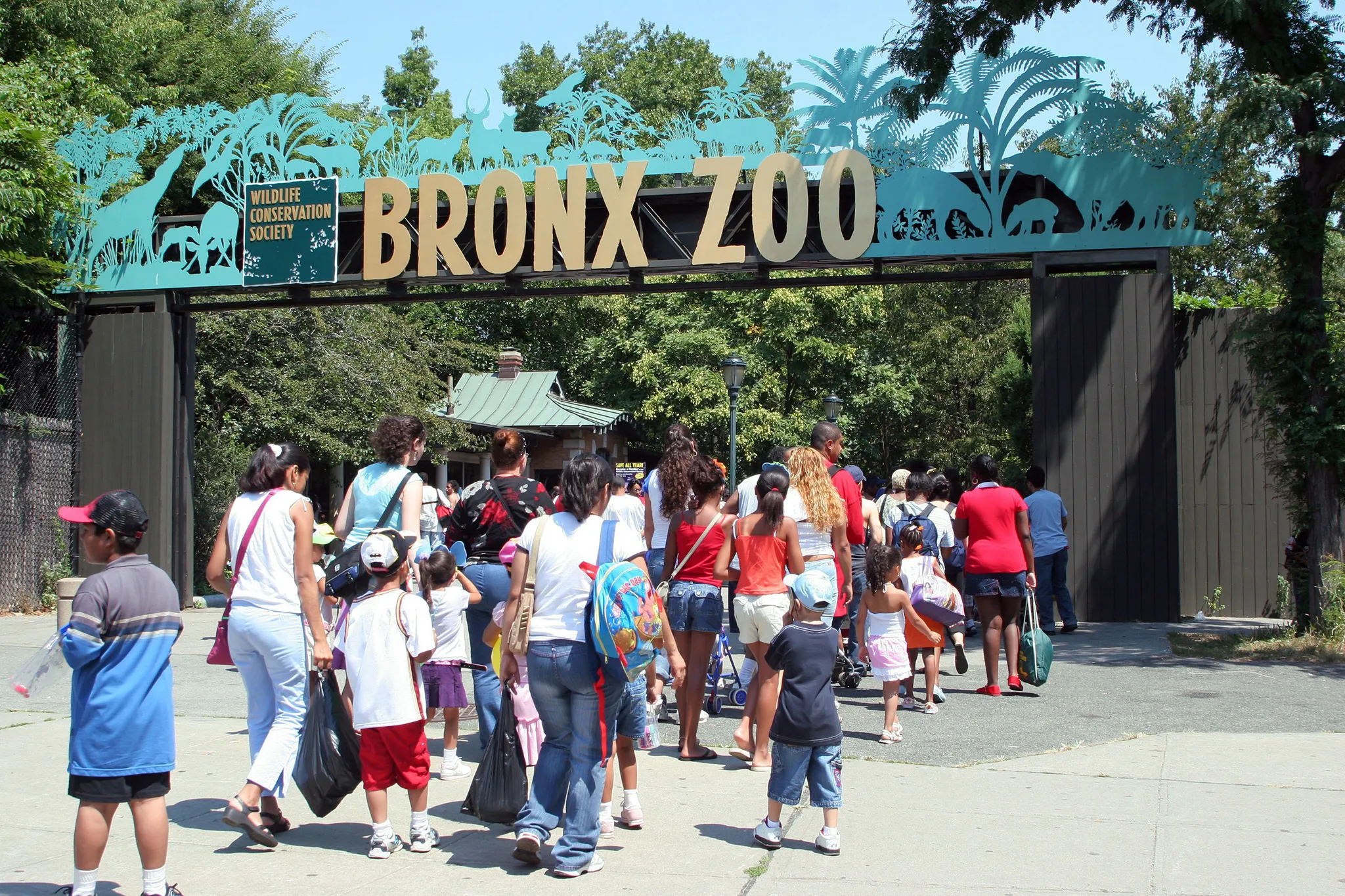 Bronx Zoo + New York Aquarium