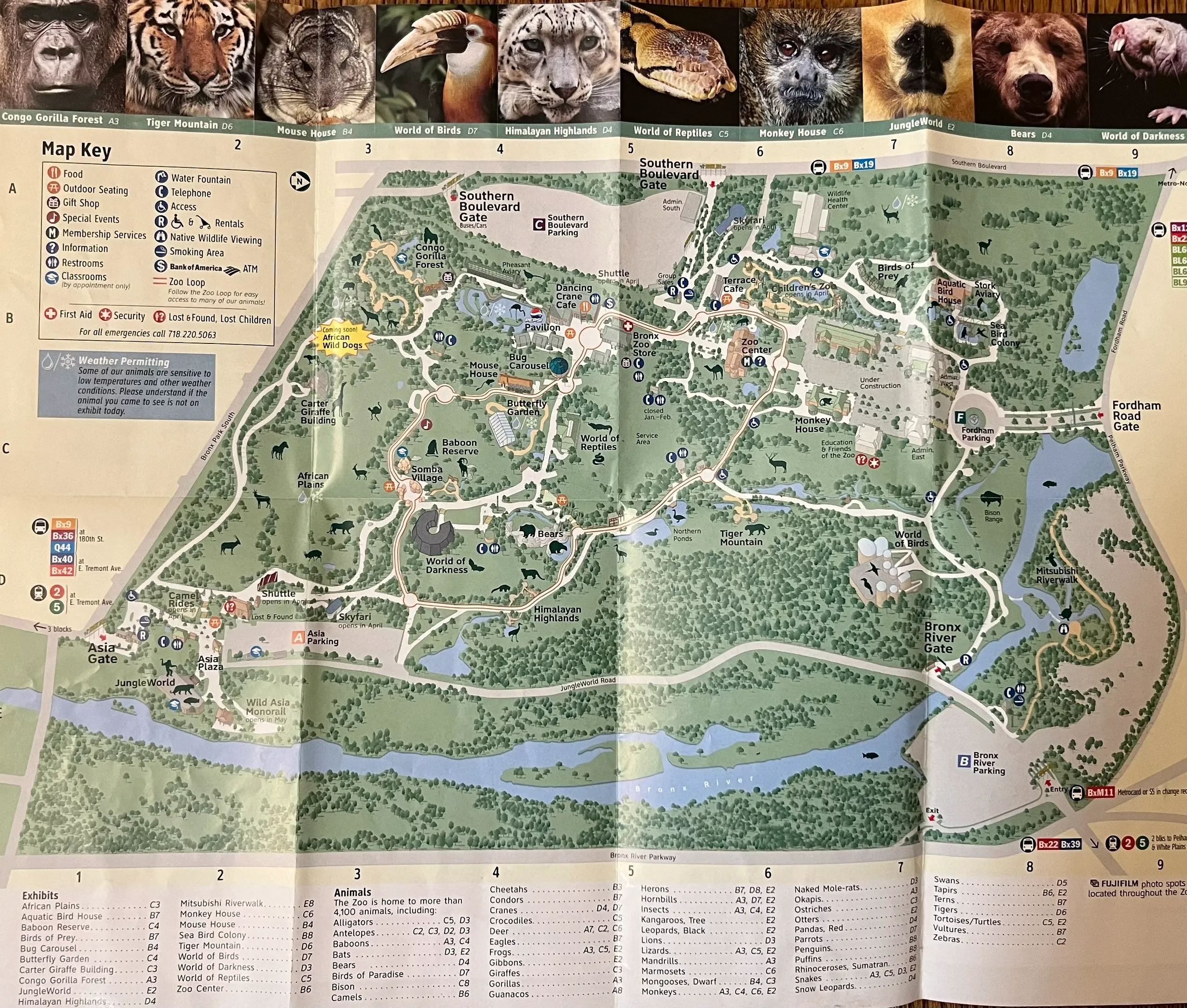One Day vs Two Days: How Much Bronx Zoo Can You See?
