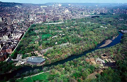 Wild Asia Monorail: Best Seats, Animal Hotspots, and Timing