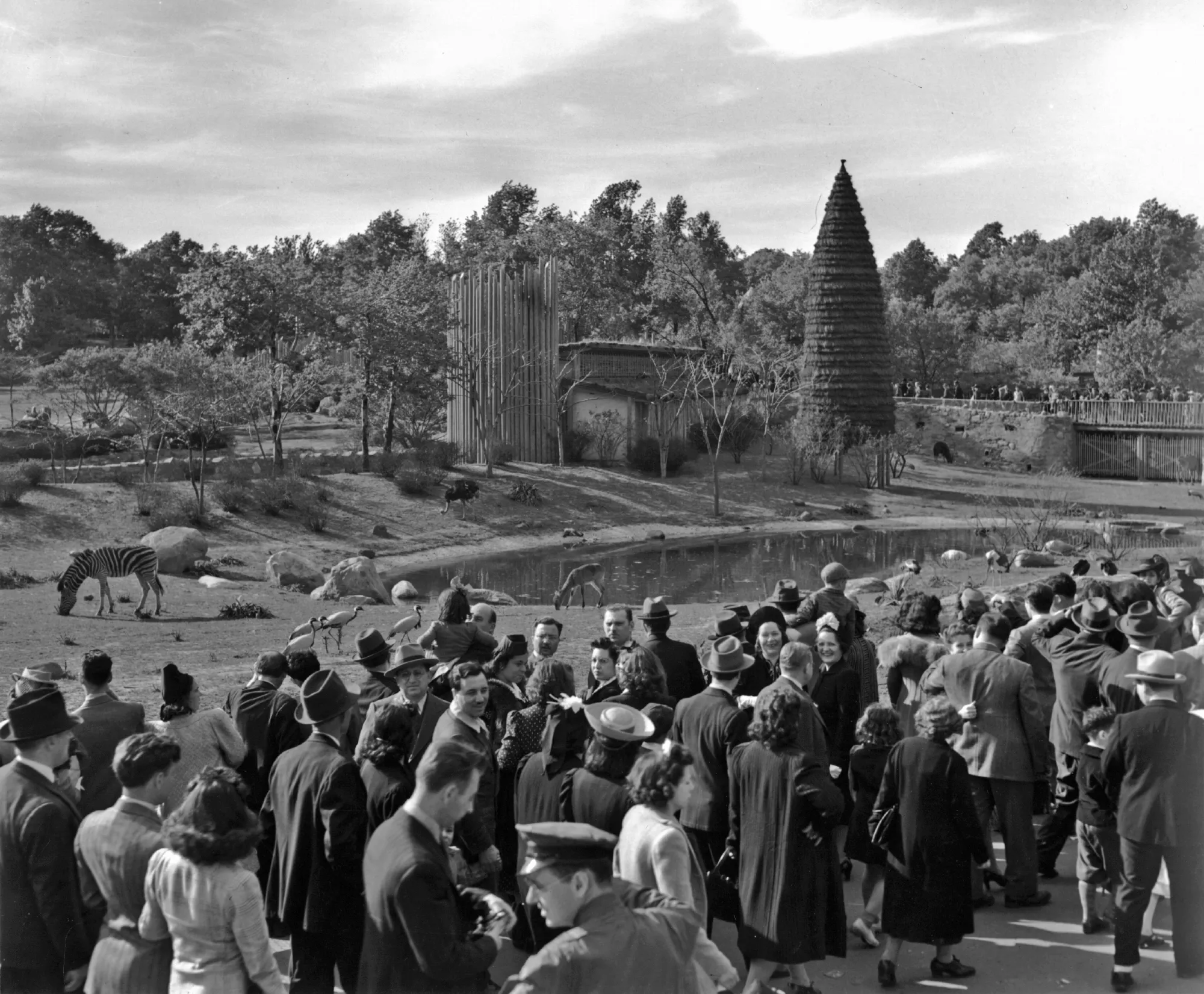 Vintage Crowds & Culture: Mid-Century Bronx Zoo in Photos