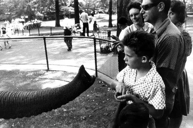 Children’s Zoo: Play, Learn, and Rest Stops (Seasonal Access)