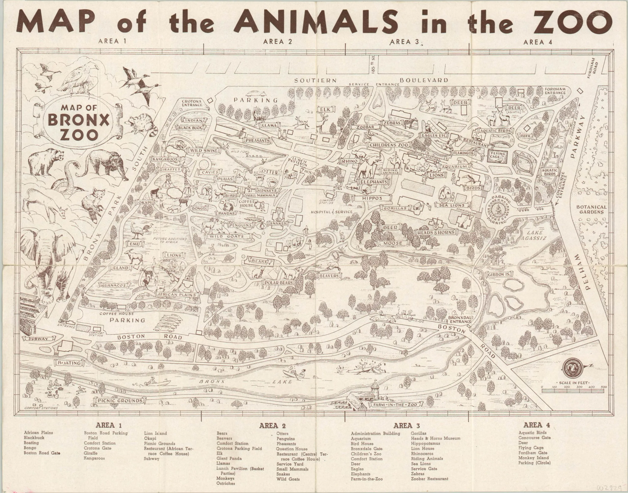 Bronx Zoo History: Vintage Maps, Old Photos, and Evolving Habitats