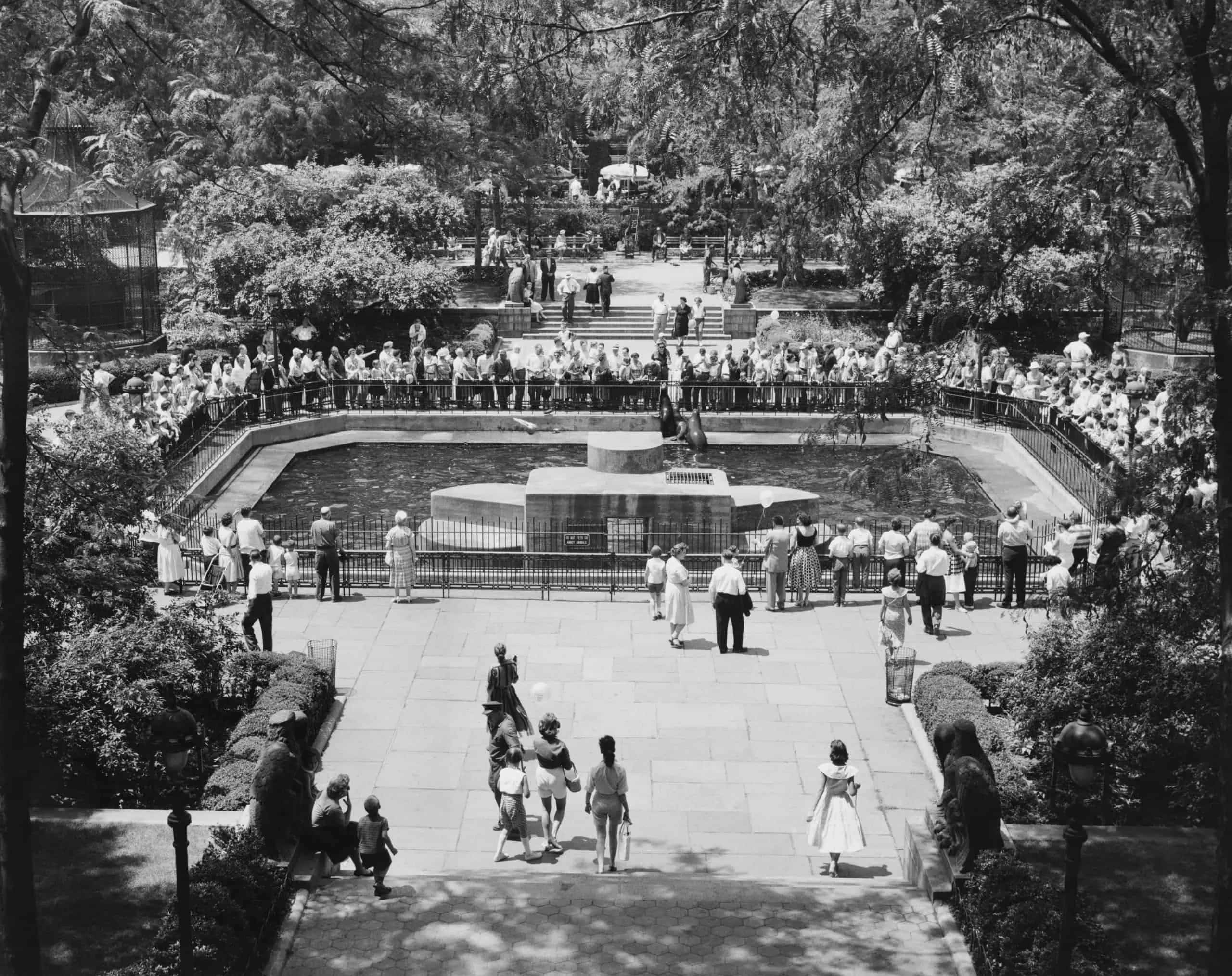 1950 Central Park pond
