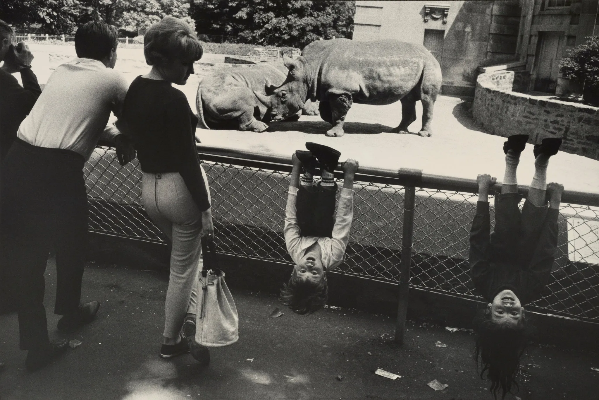 1967 kids near rhino fence