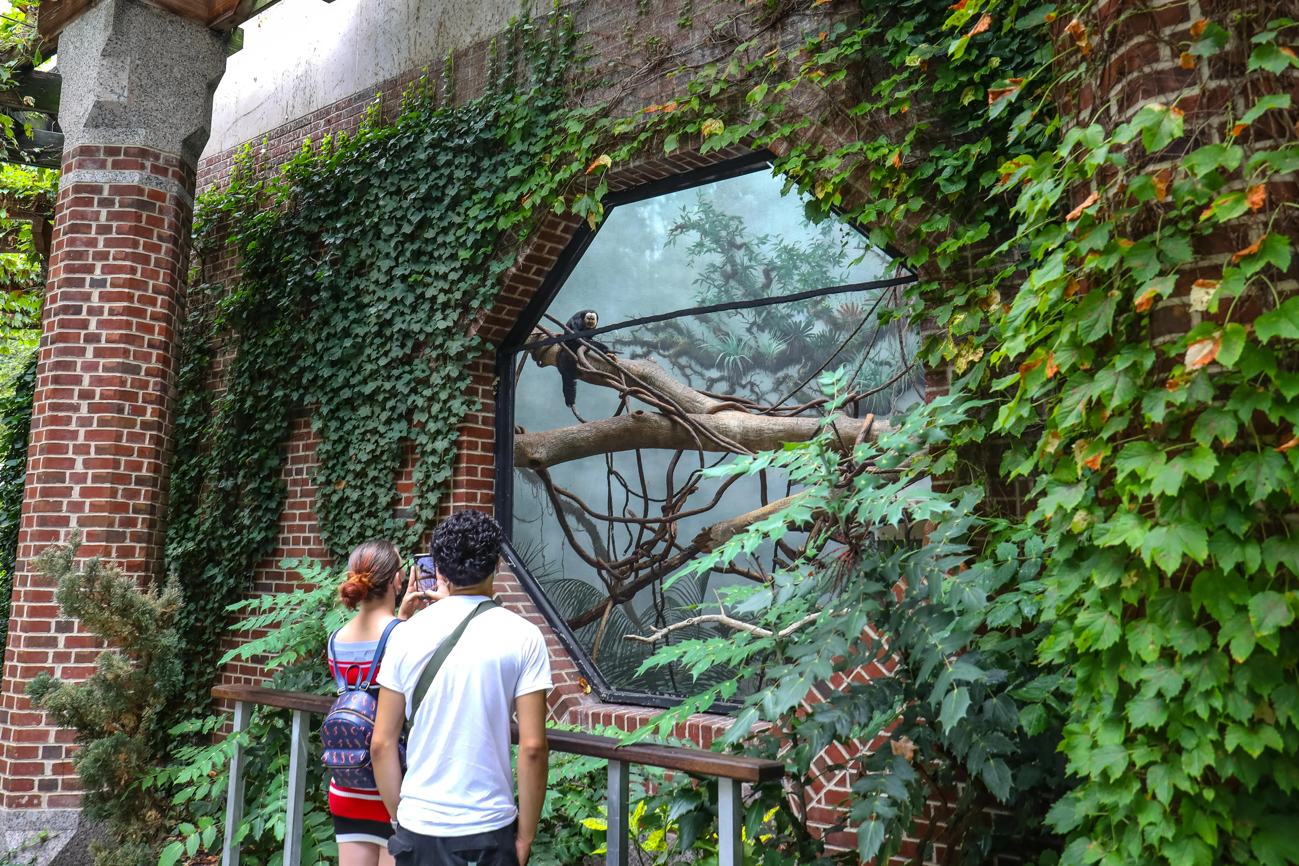 Conservation & Education: Programs That Matter