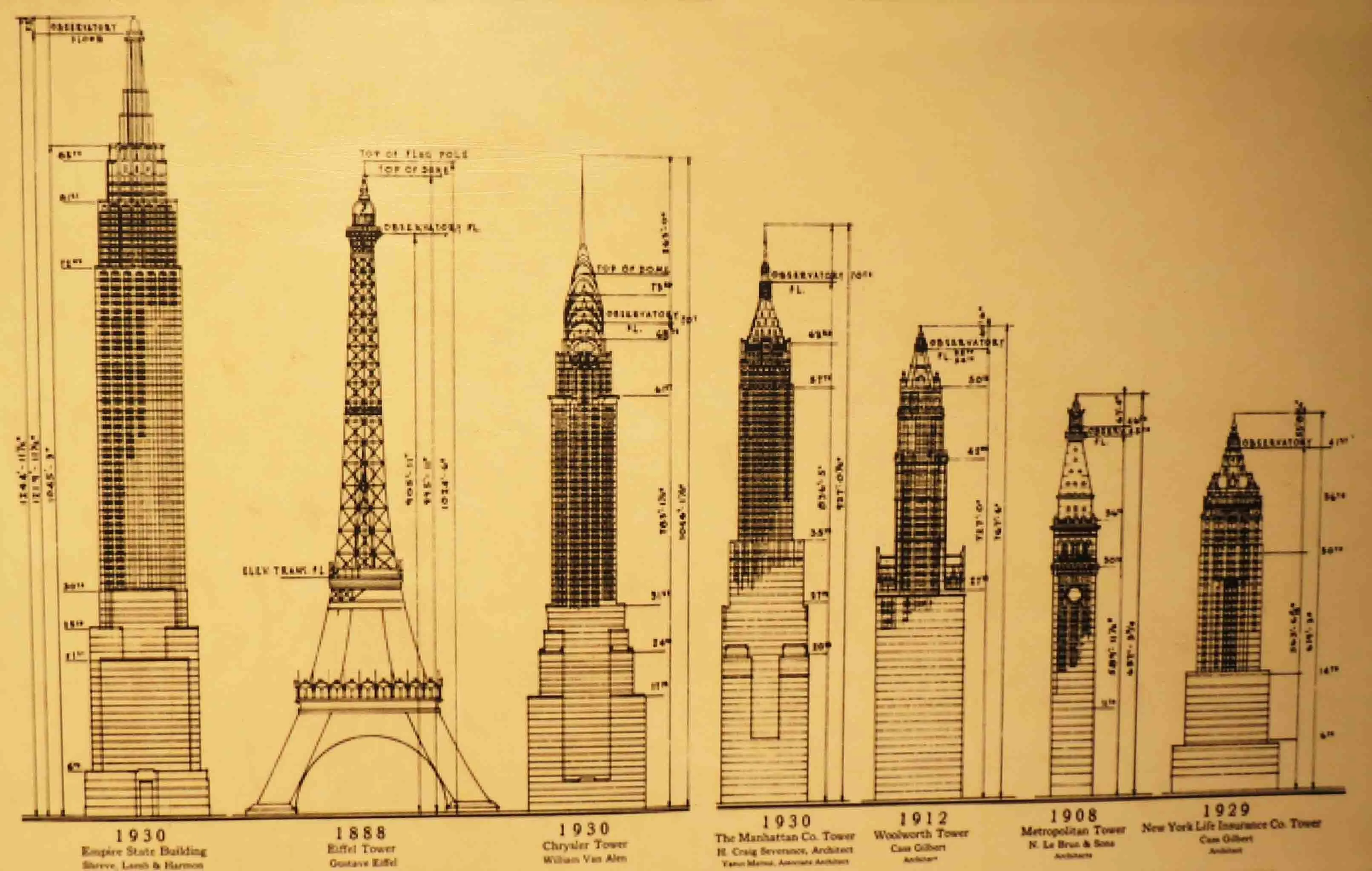 Height comparison graphic