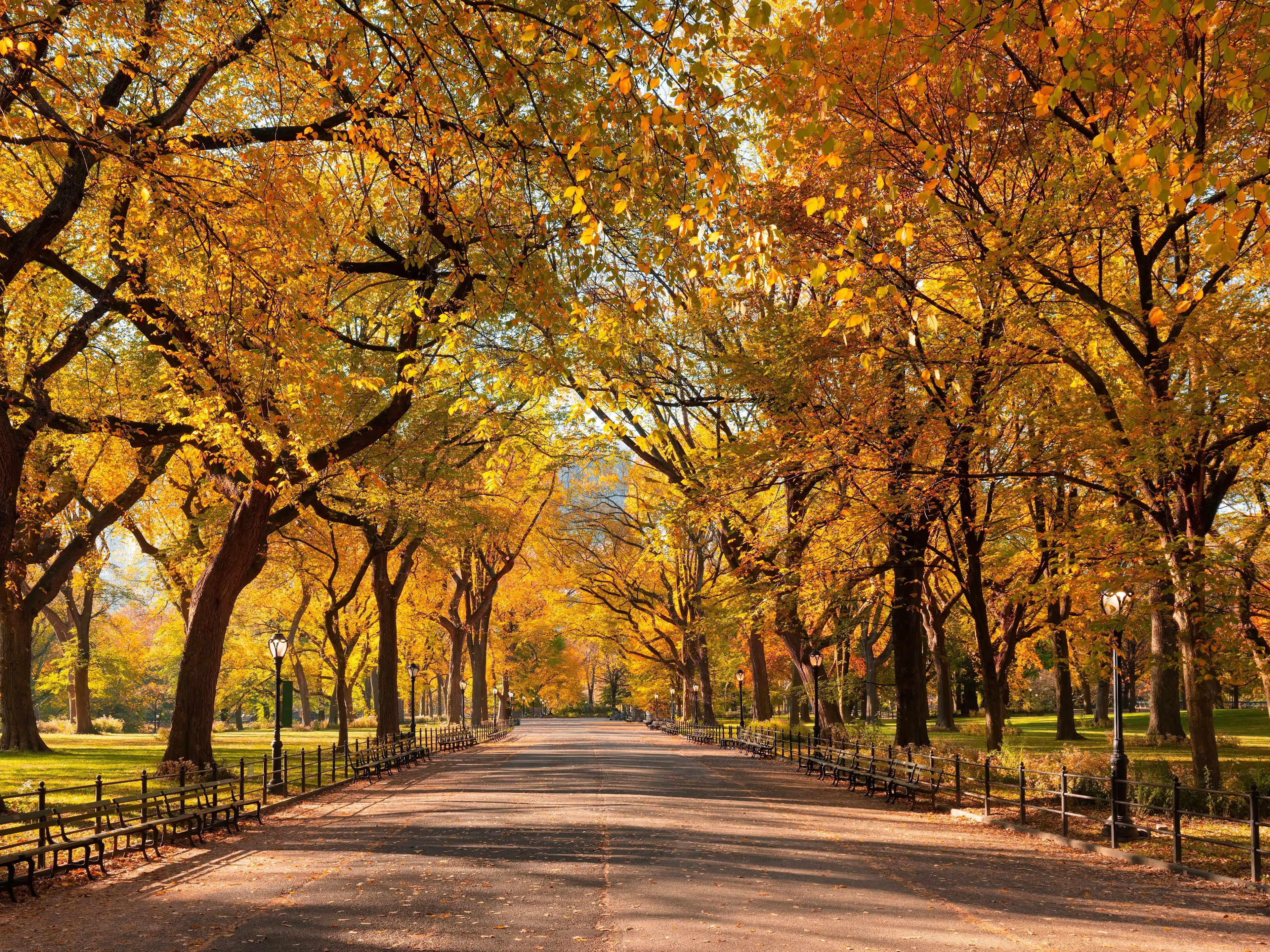 New York CityPASS Seasonal Guide: Winter, Spring, Summer, Fall