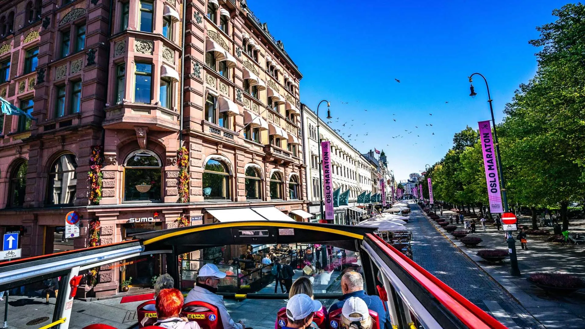 Tourists on a roof tour