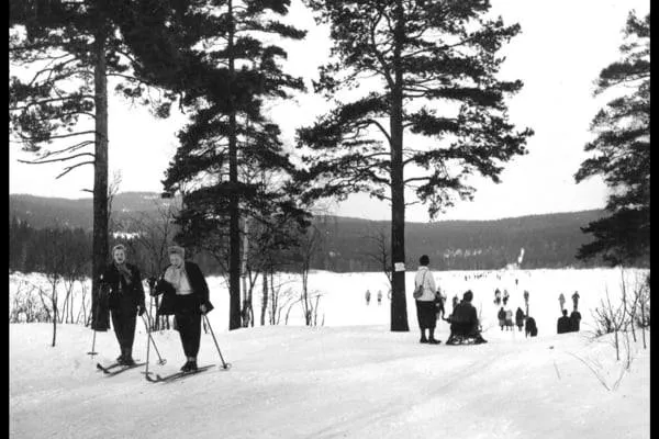 Nordic skiing in winter