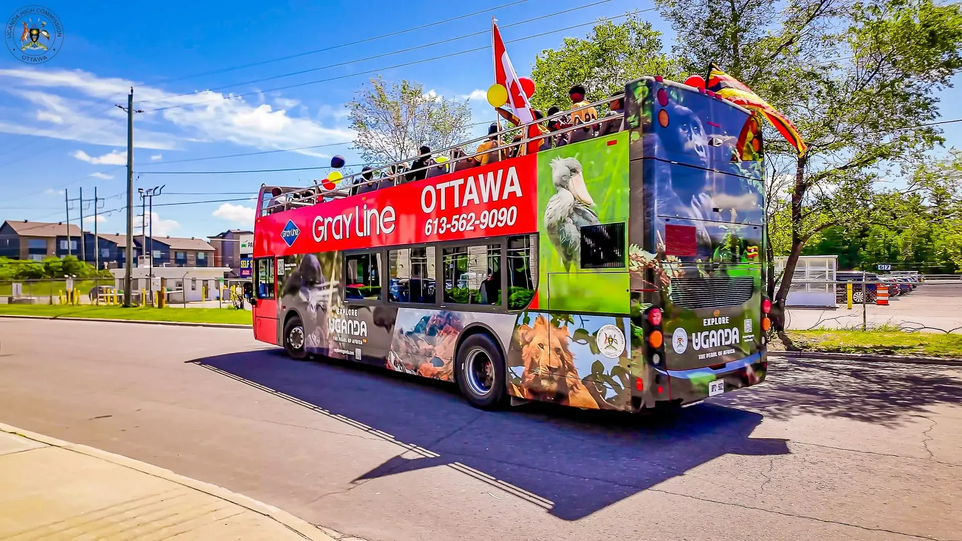 Gray Line hop-on hop-off bus in Ottawa
