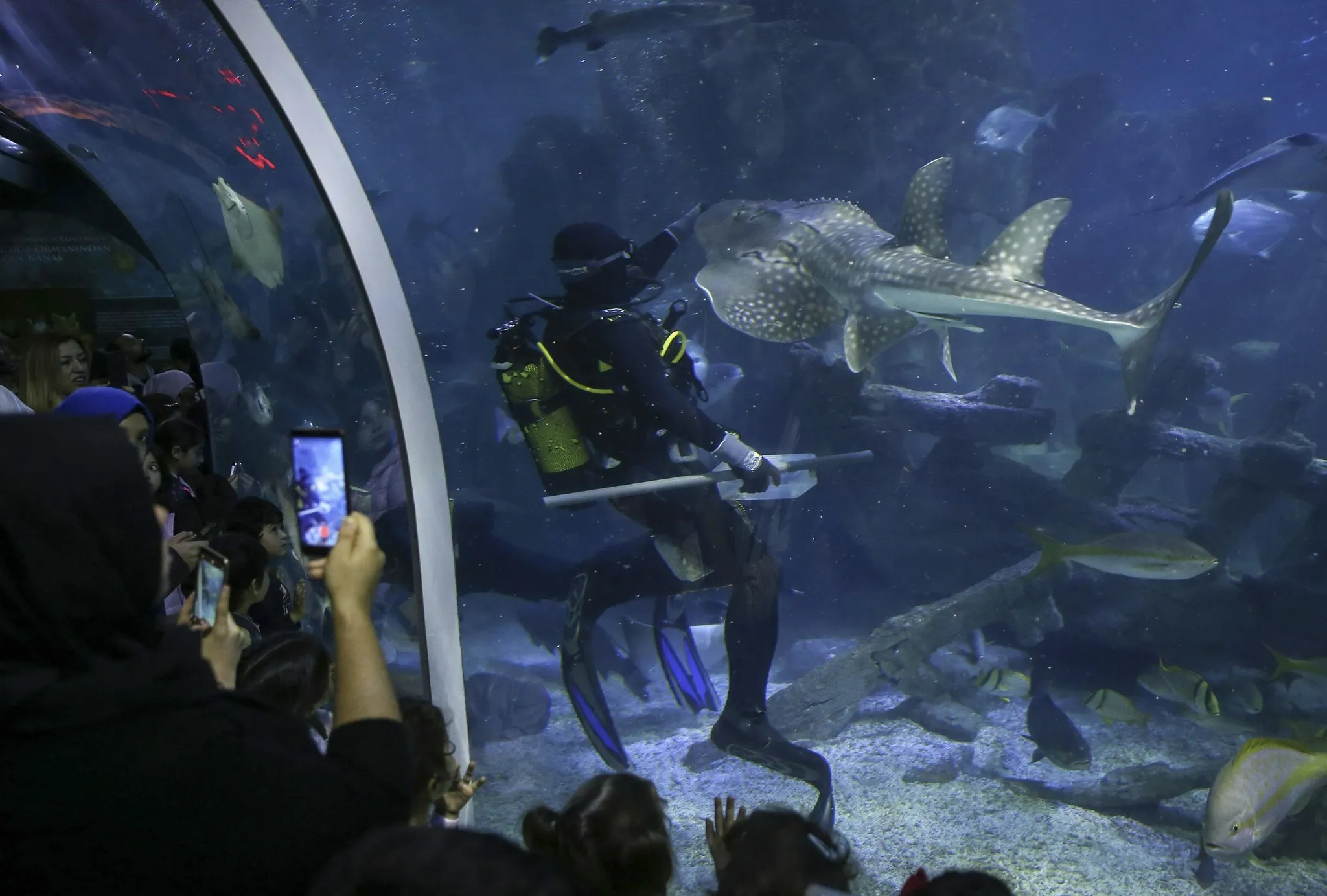 Behind the Scenes: Daily Work of Aquarists at the Paris Aquarium