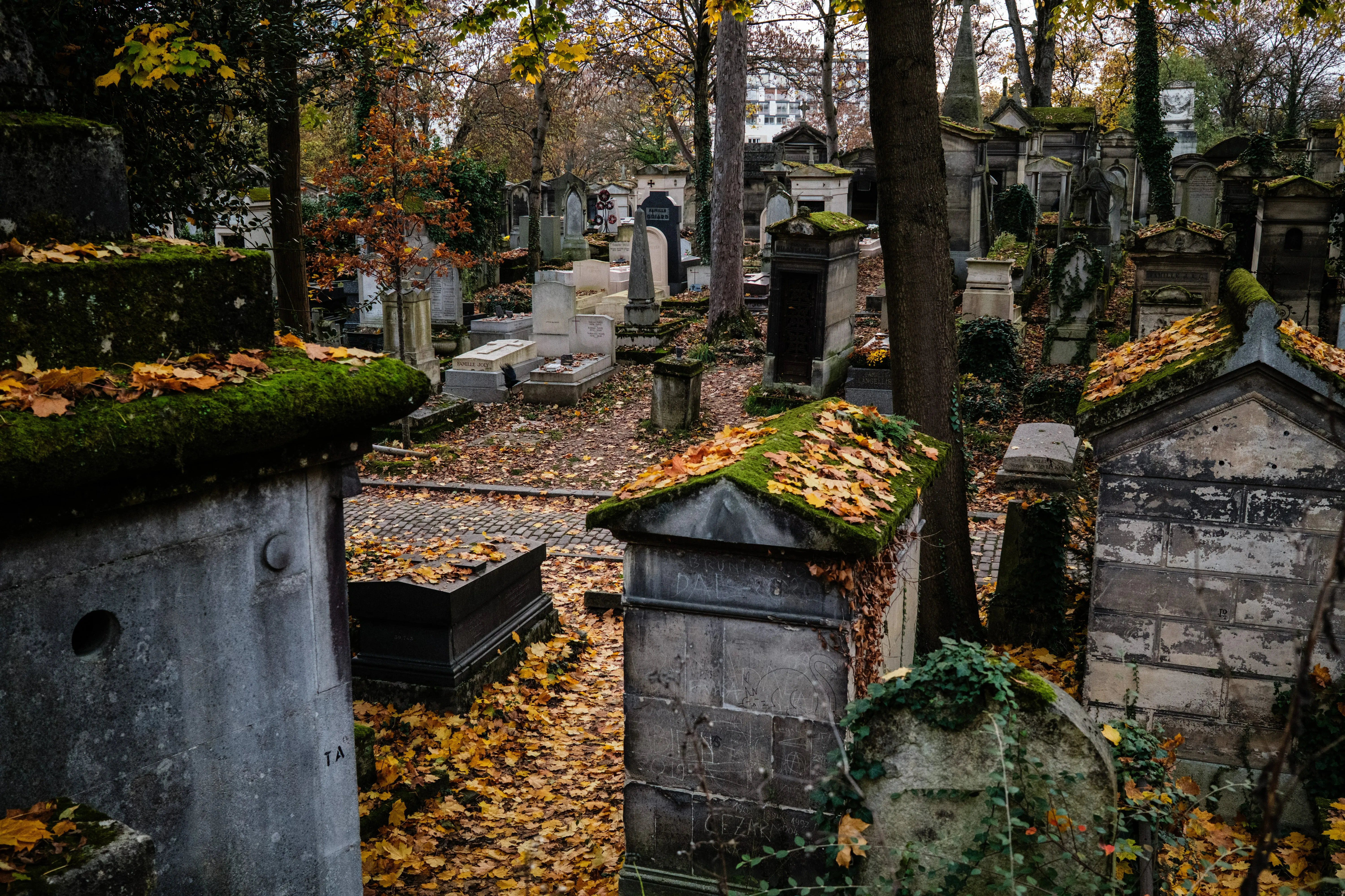 Rows of graves and monuments