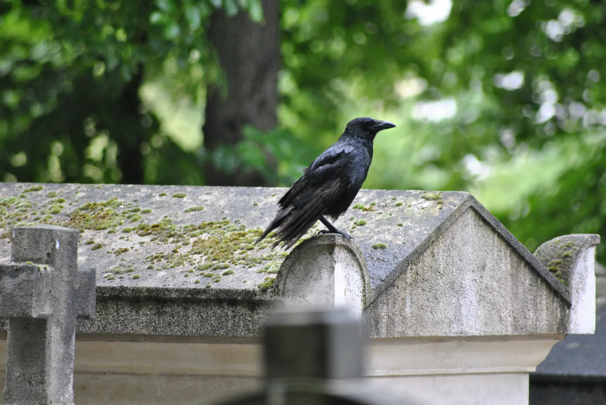 Cmentarz Père‑Lachaise: Straszna wycieczka z przewodnikiem