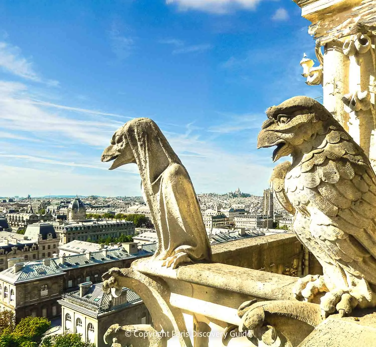 Nature on Stone: Birds and Hawks on the Façade
