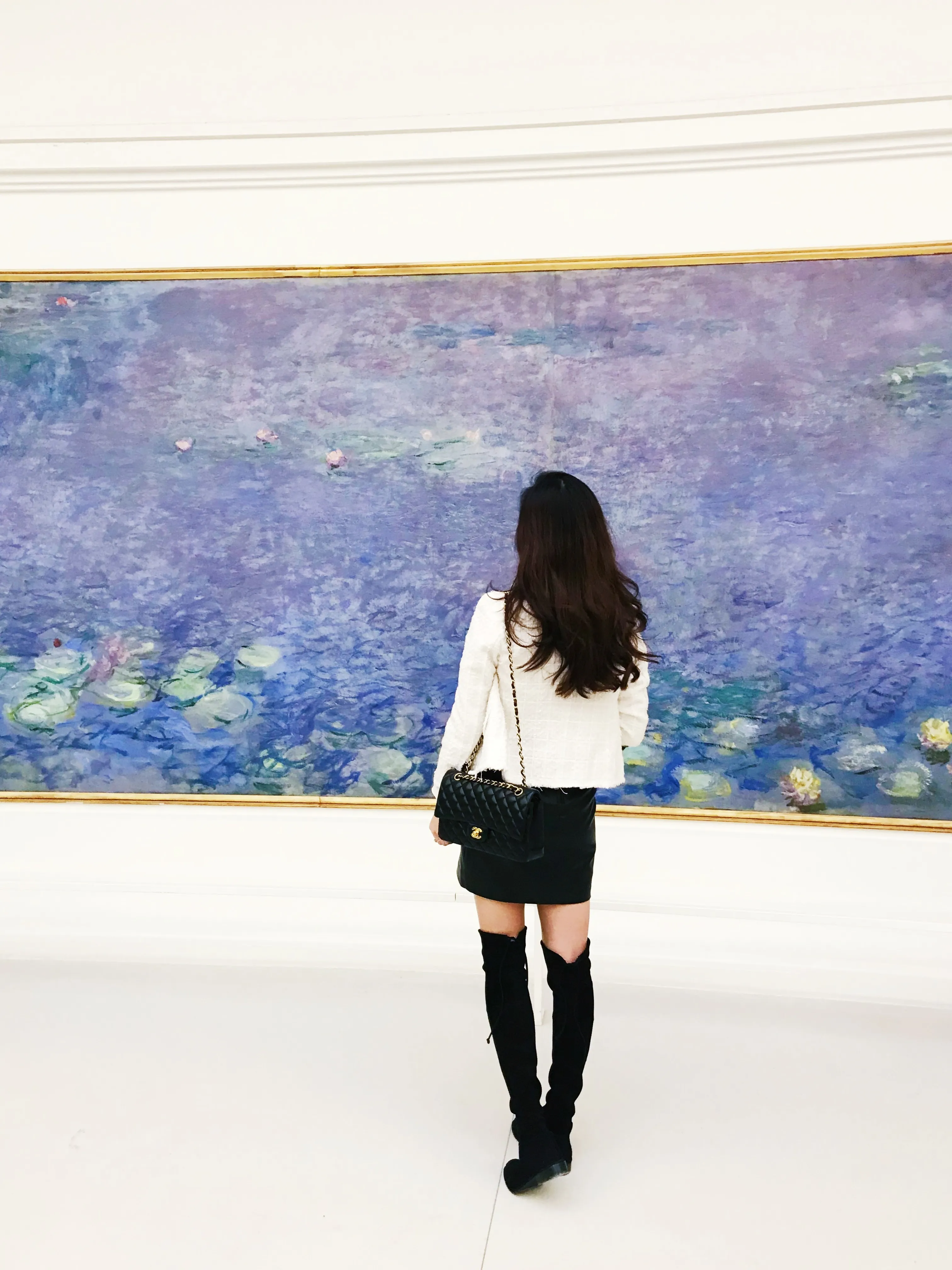 Musée de l'Orangerie: Ξενάγηση σε μικρή ομάδα (αγγλικά)