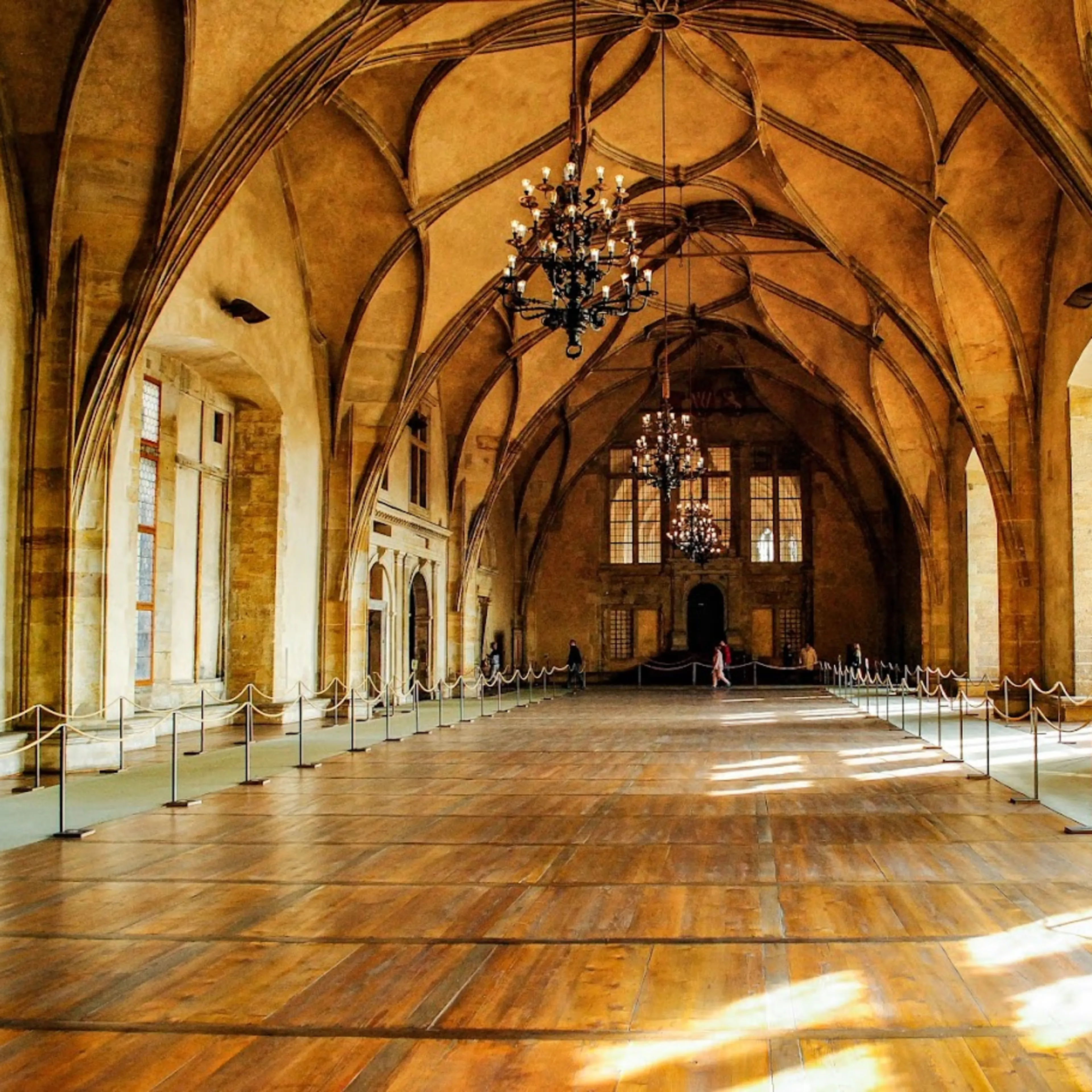 Courtyards & Free Zones: Navigate, Pause, and Find Hidden Details