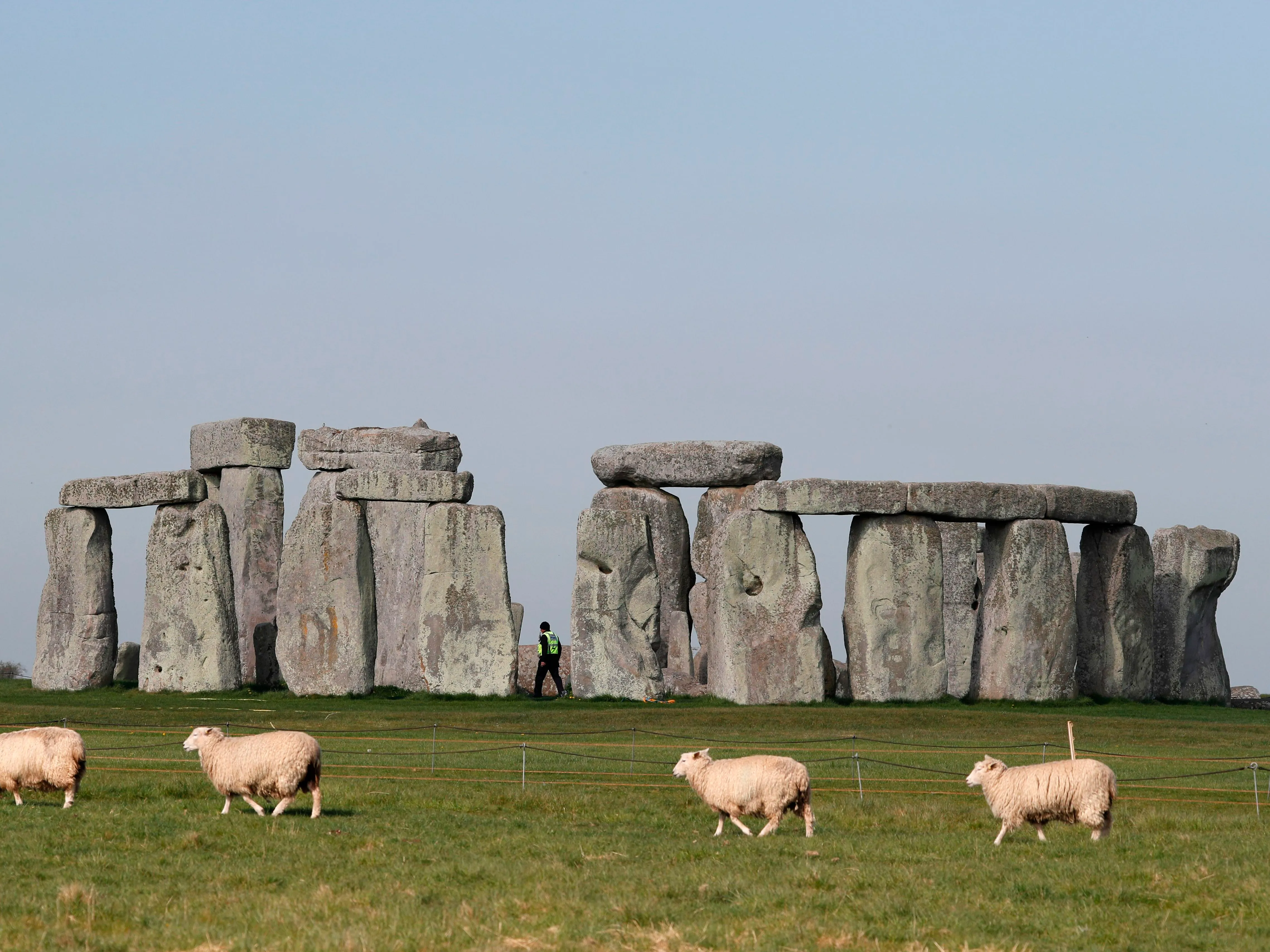 Sheep grazing near Stonehenge