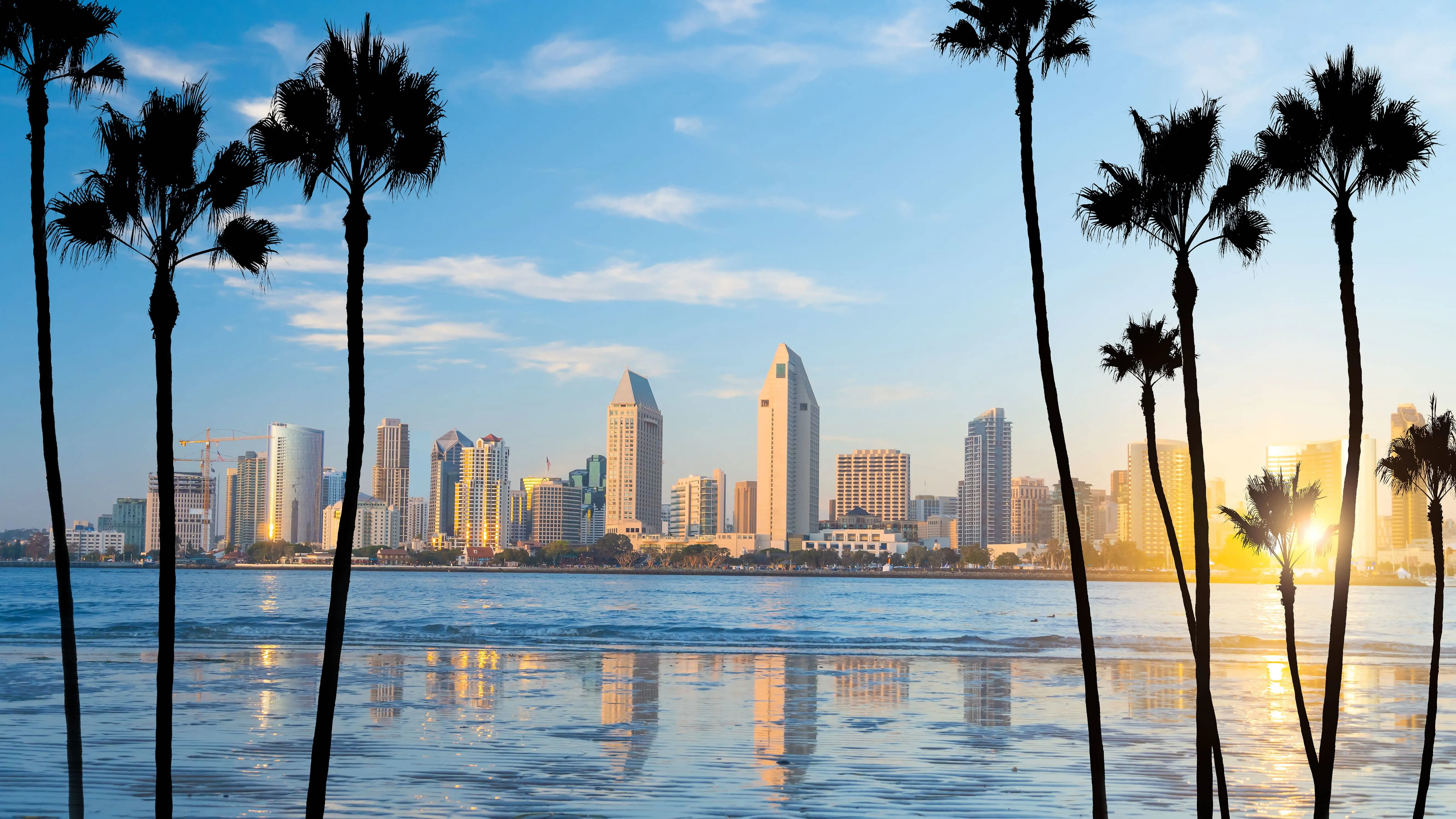 San Diego harbor view with boats and waterfront skyline