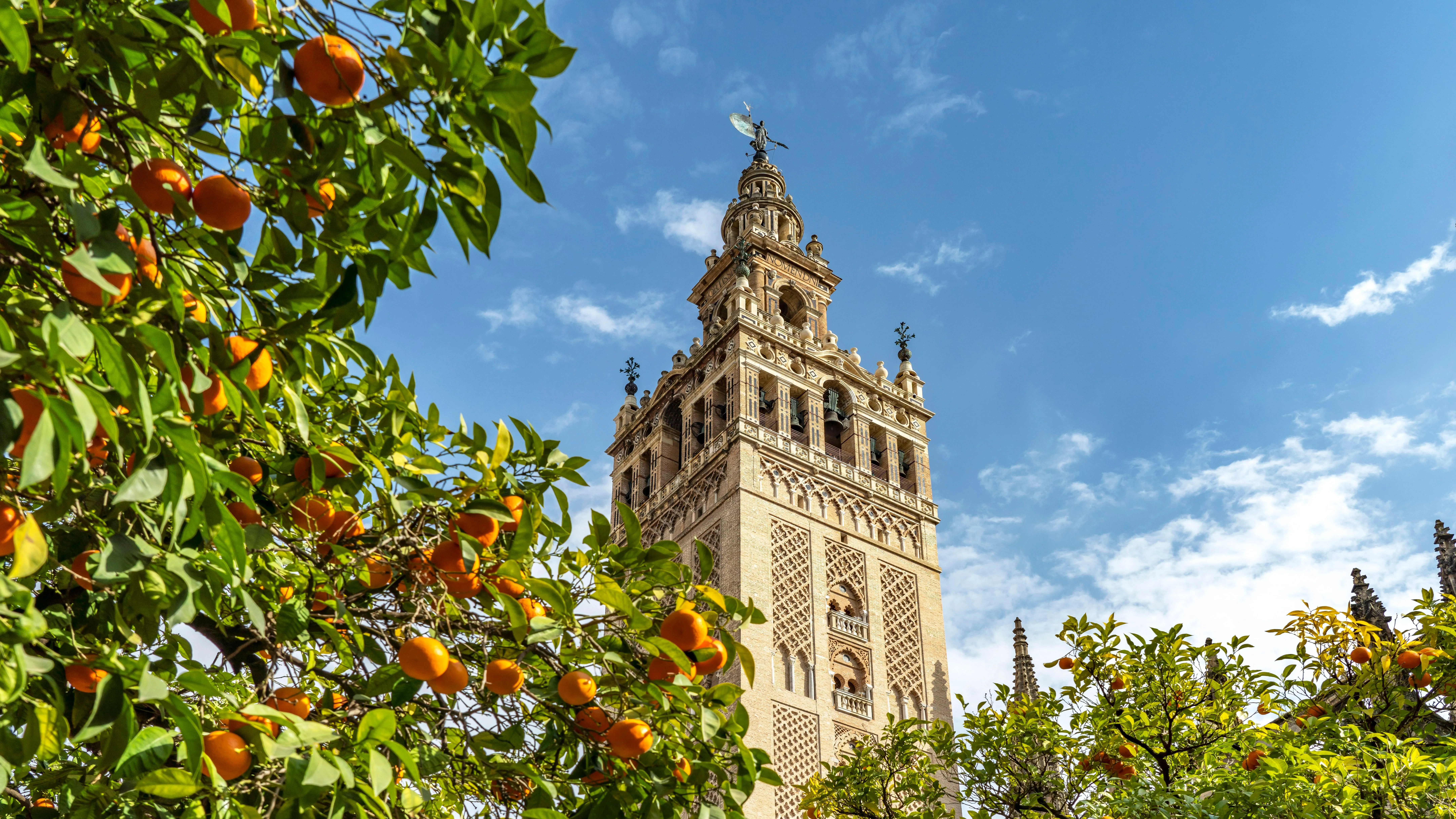 La Giralda viewed from below