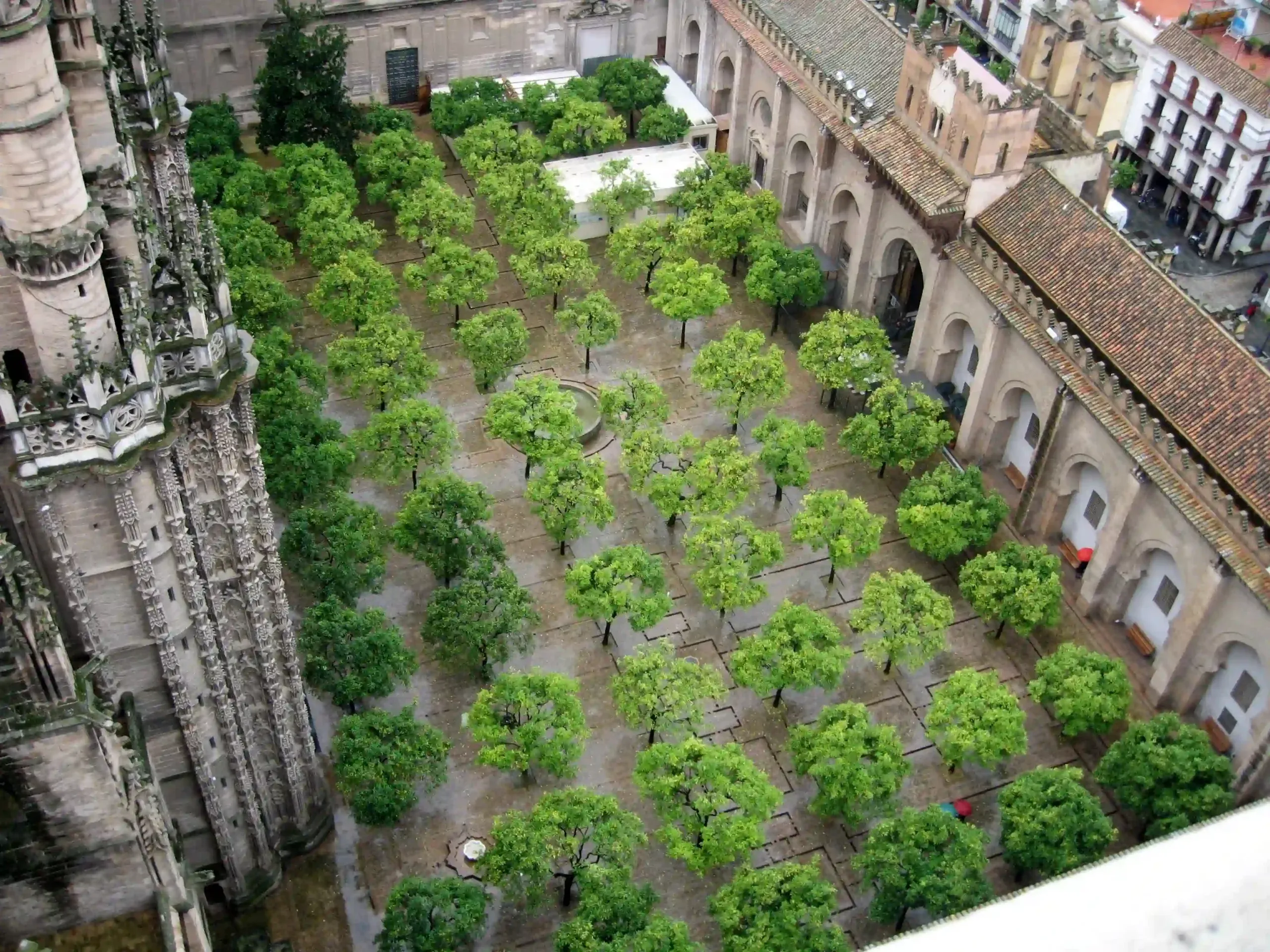 Patio de los Naranjos at Seville Cathedral