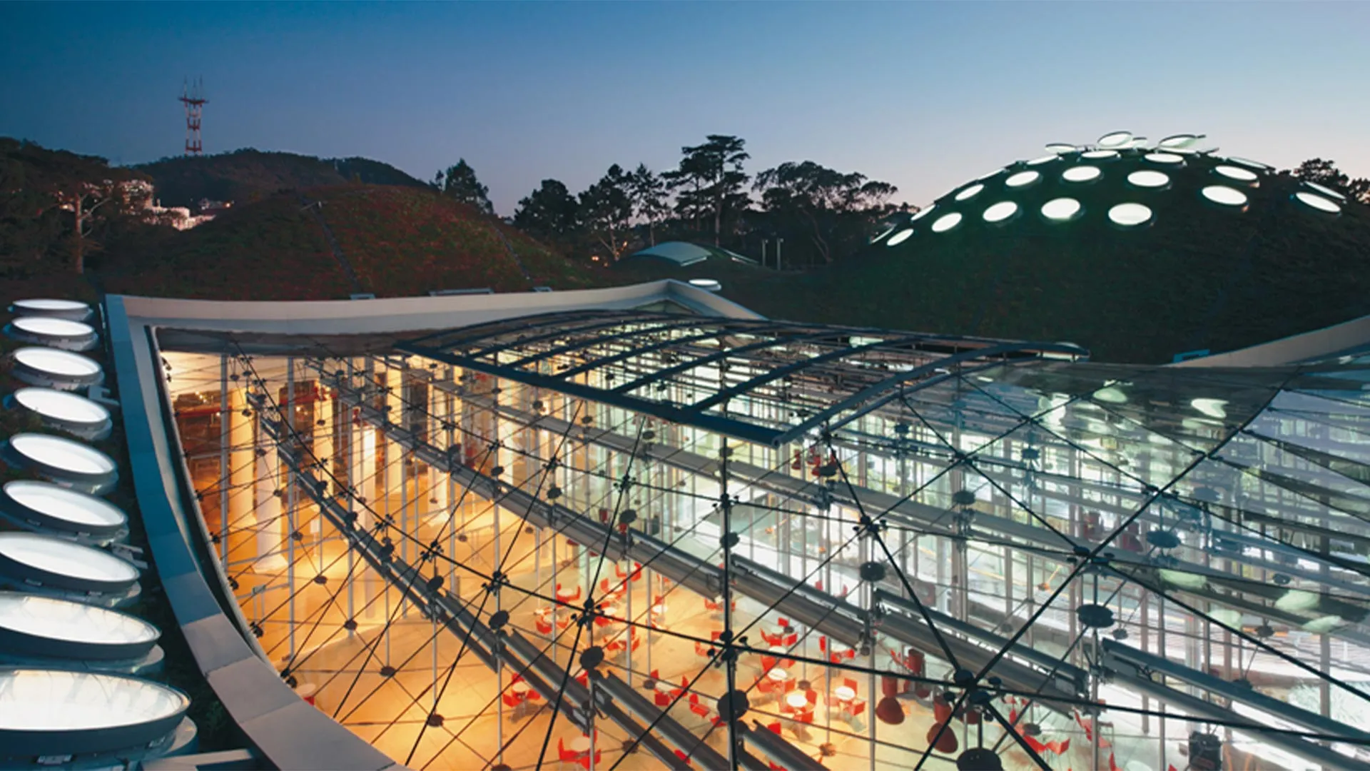 Night view of the Academy glass roof