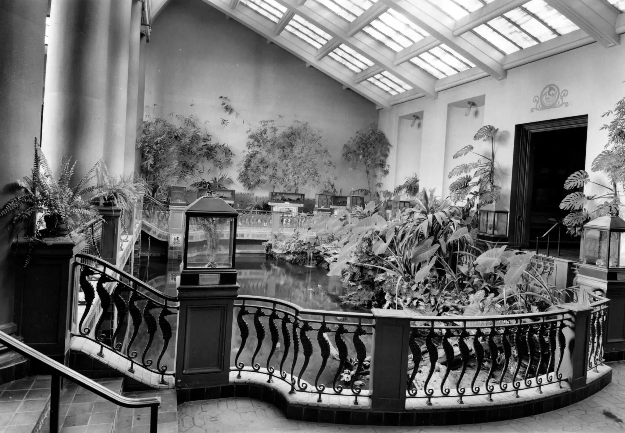 Steinhart Aquarium main tank (1938)