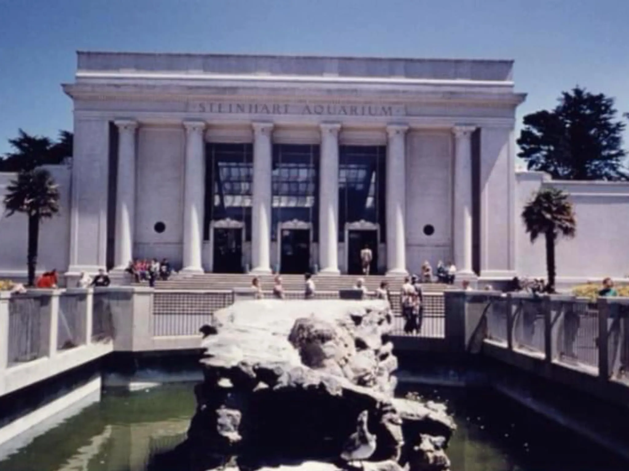 Steinhart Aquarium (1953)