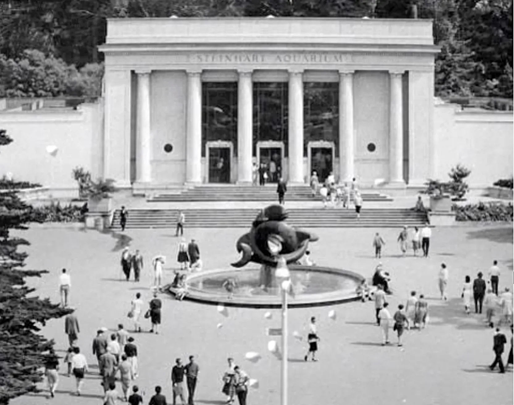 Historic Steinhart Aquarium (1930)