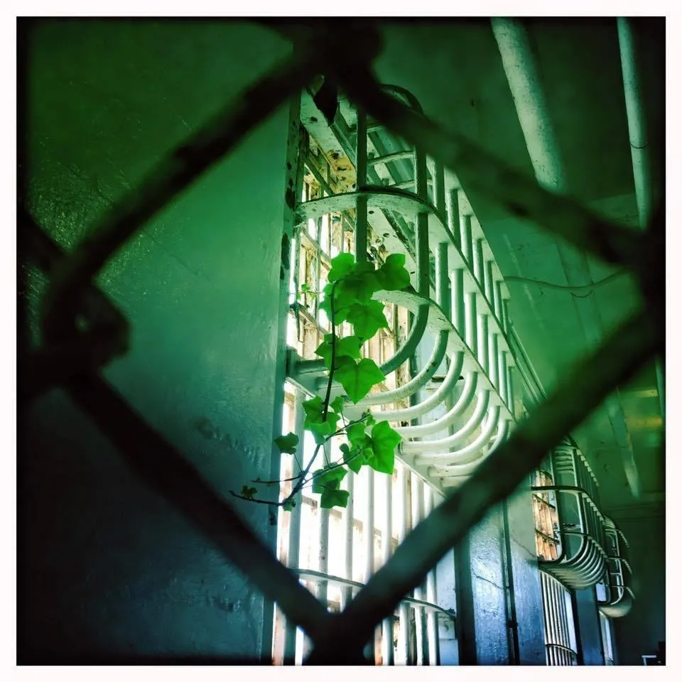 Nature in the Cellhouse